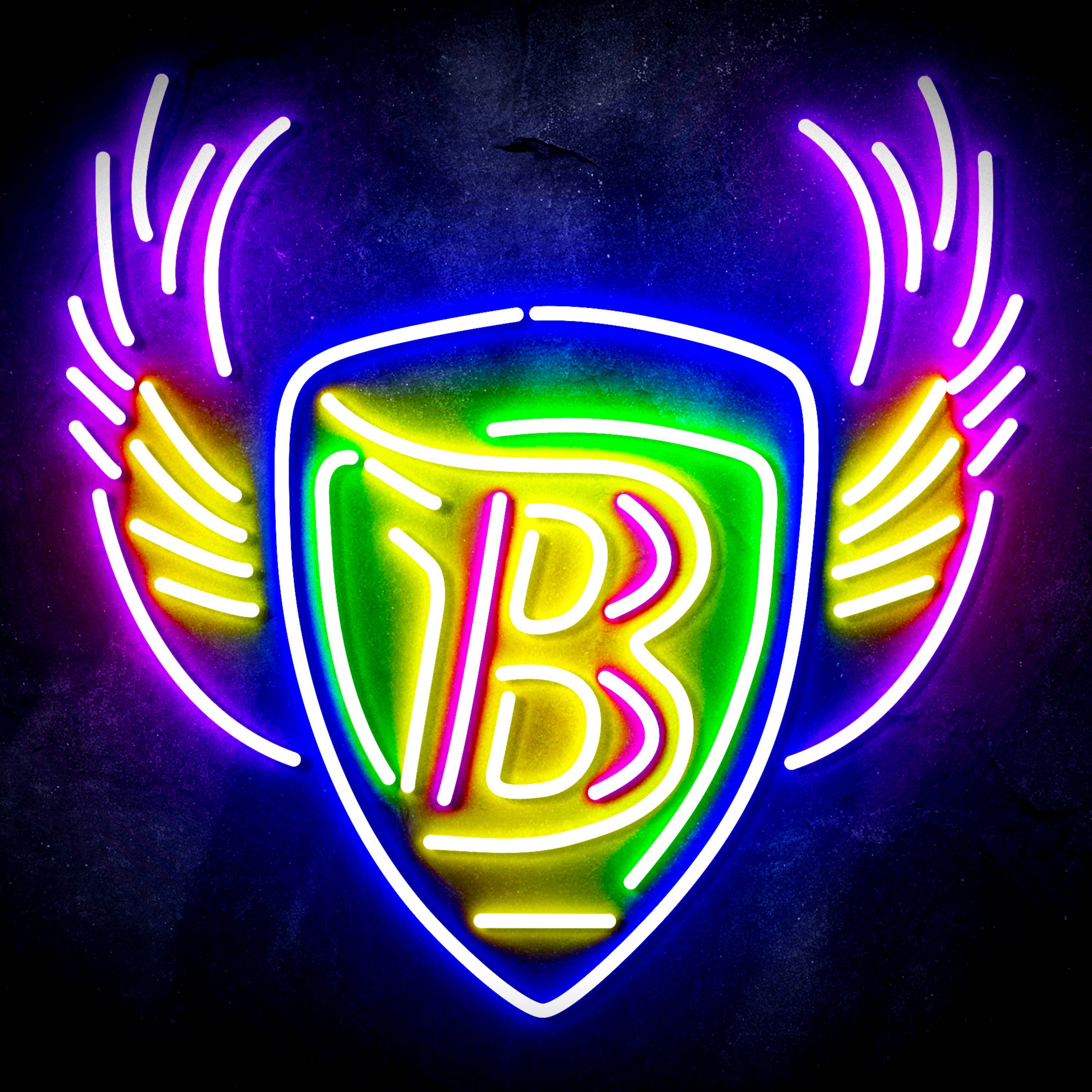 NFL Baltimore Ravens Flex Neon-like LED Sign