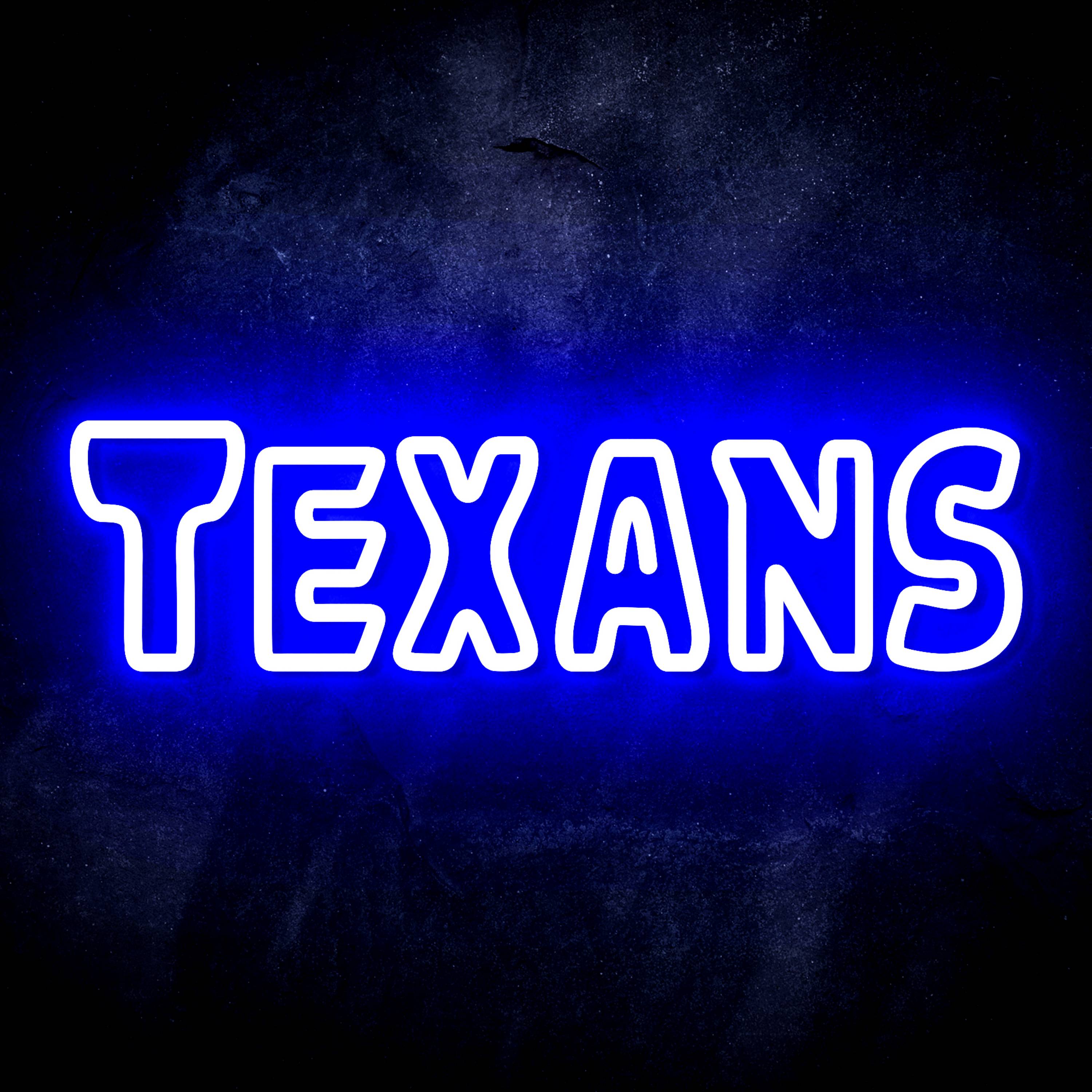 NFL TEXANS Flex Neon-like LED Sign