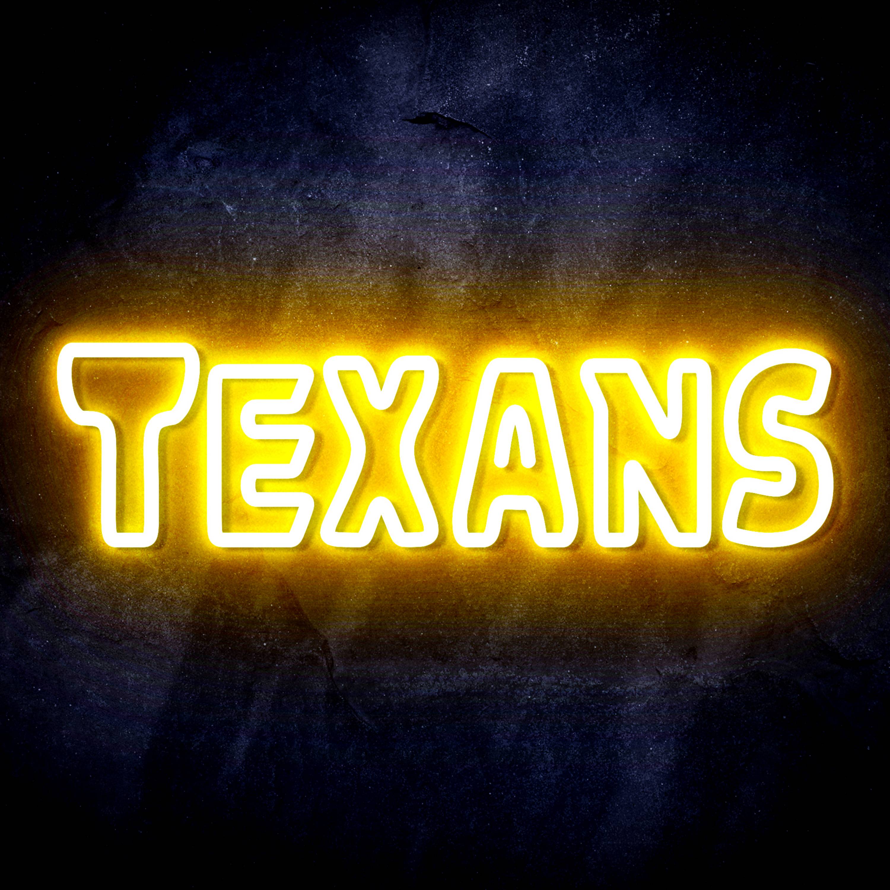 NFL TEXANS Flex Neon-like LED Sign