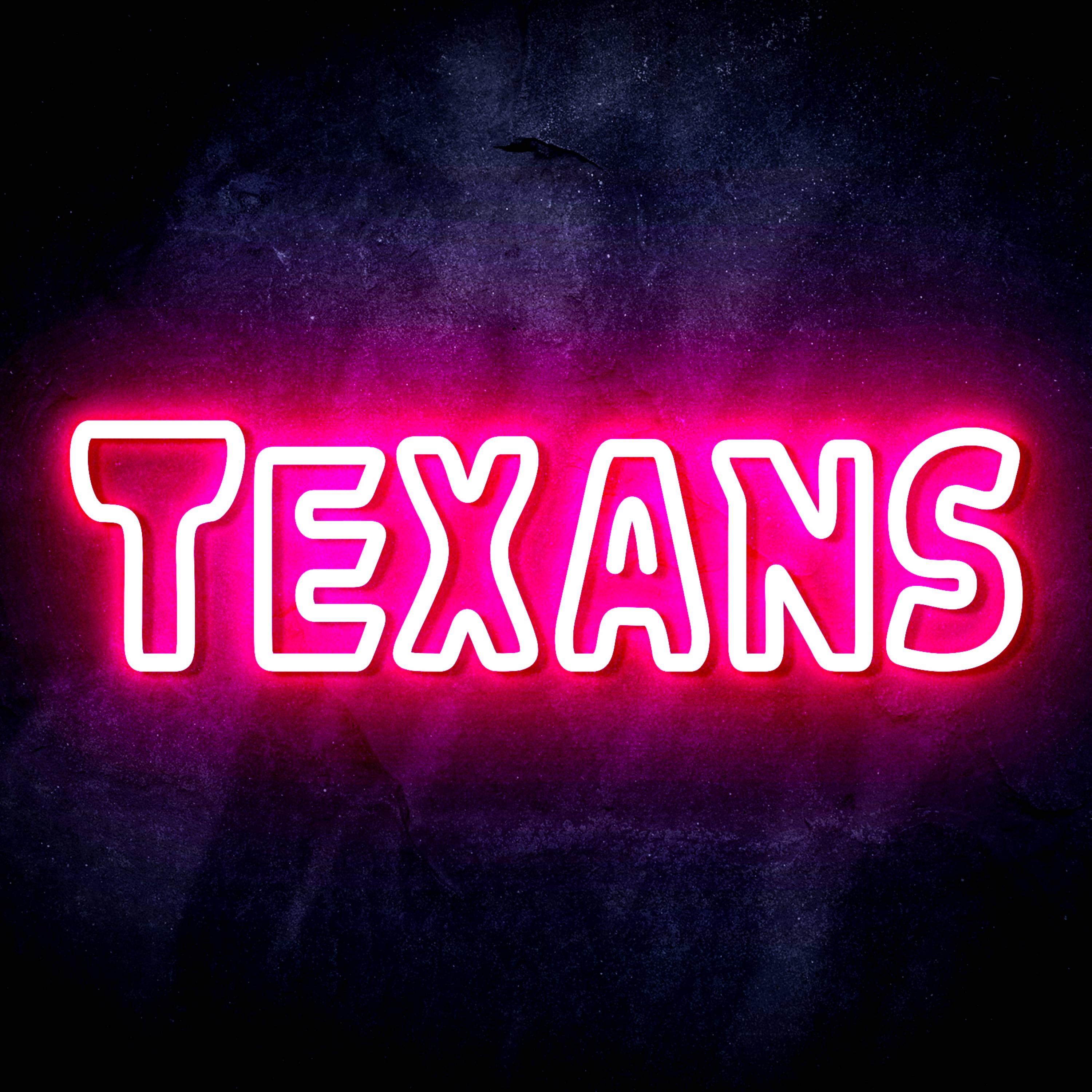 NFL TEXANS Flex Neon-like LED Sign