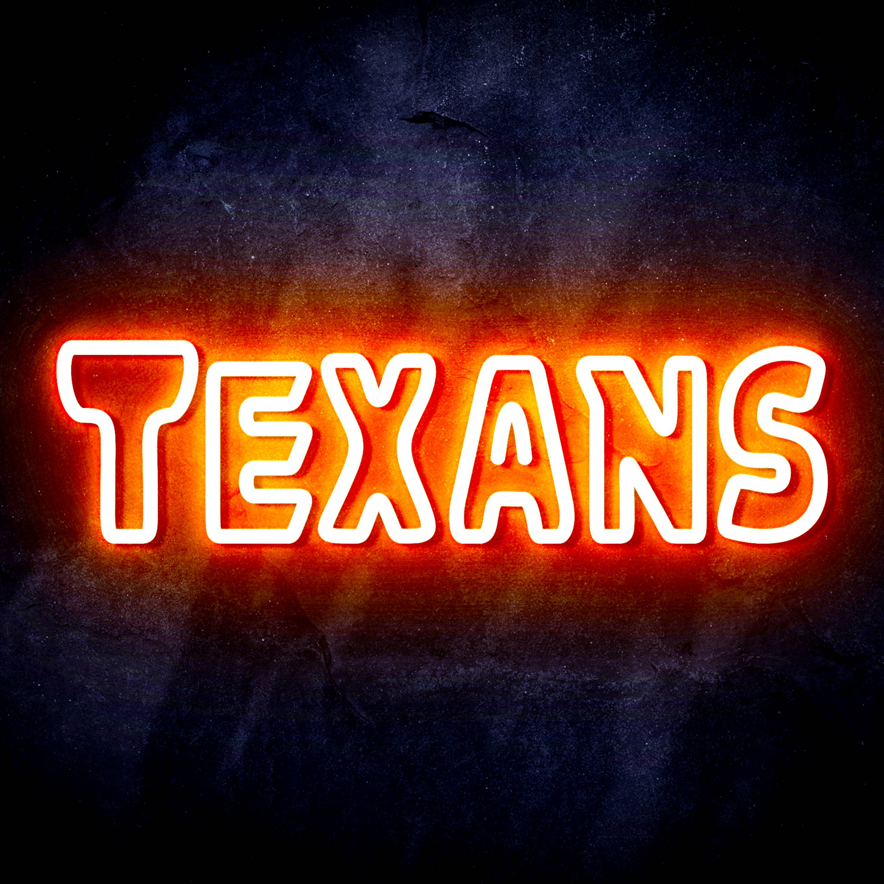 NFL TEXANS Flex Neon-like LED Sign