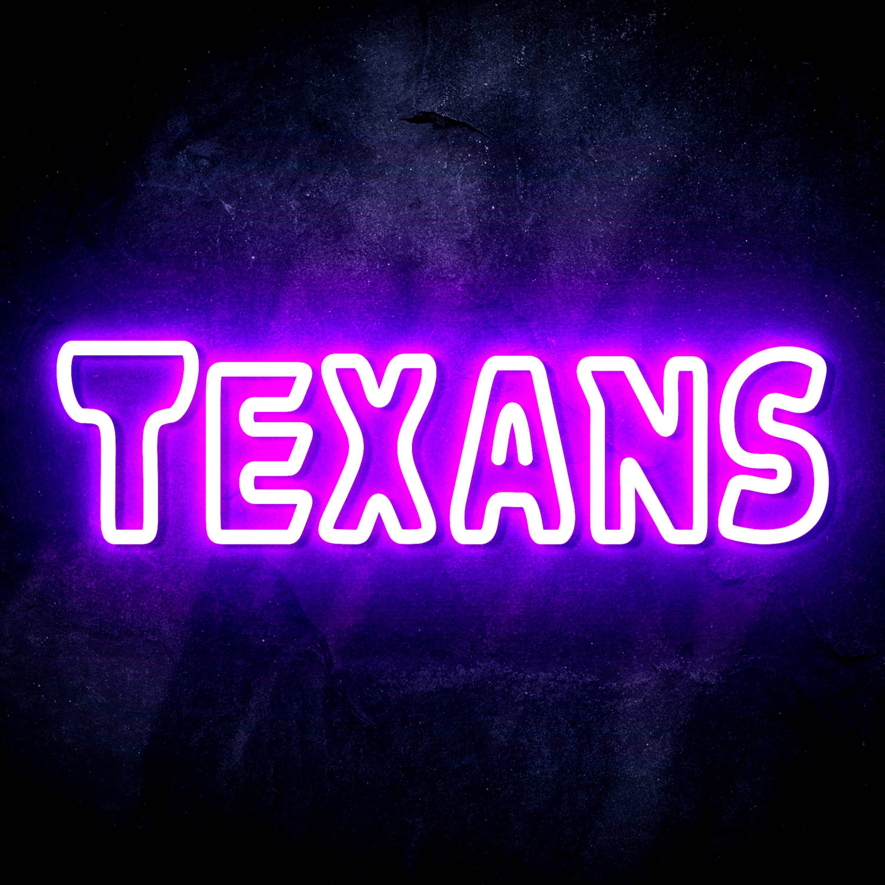 NFL TEXANS Flex Neon-like LED Sign