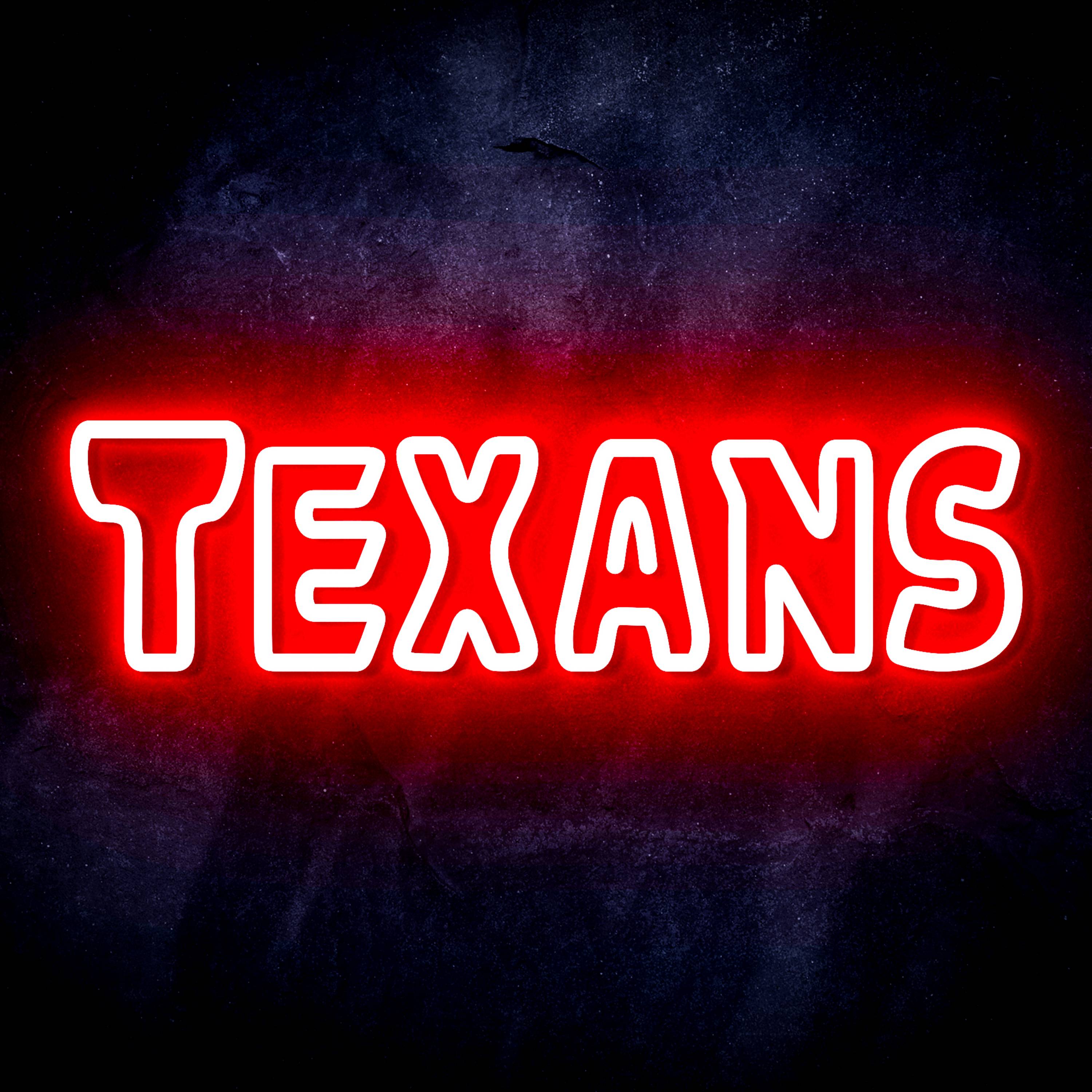 NFL TEXANS Flex Neon-like LED Sign
