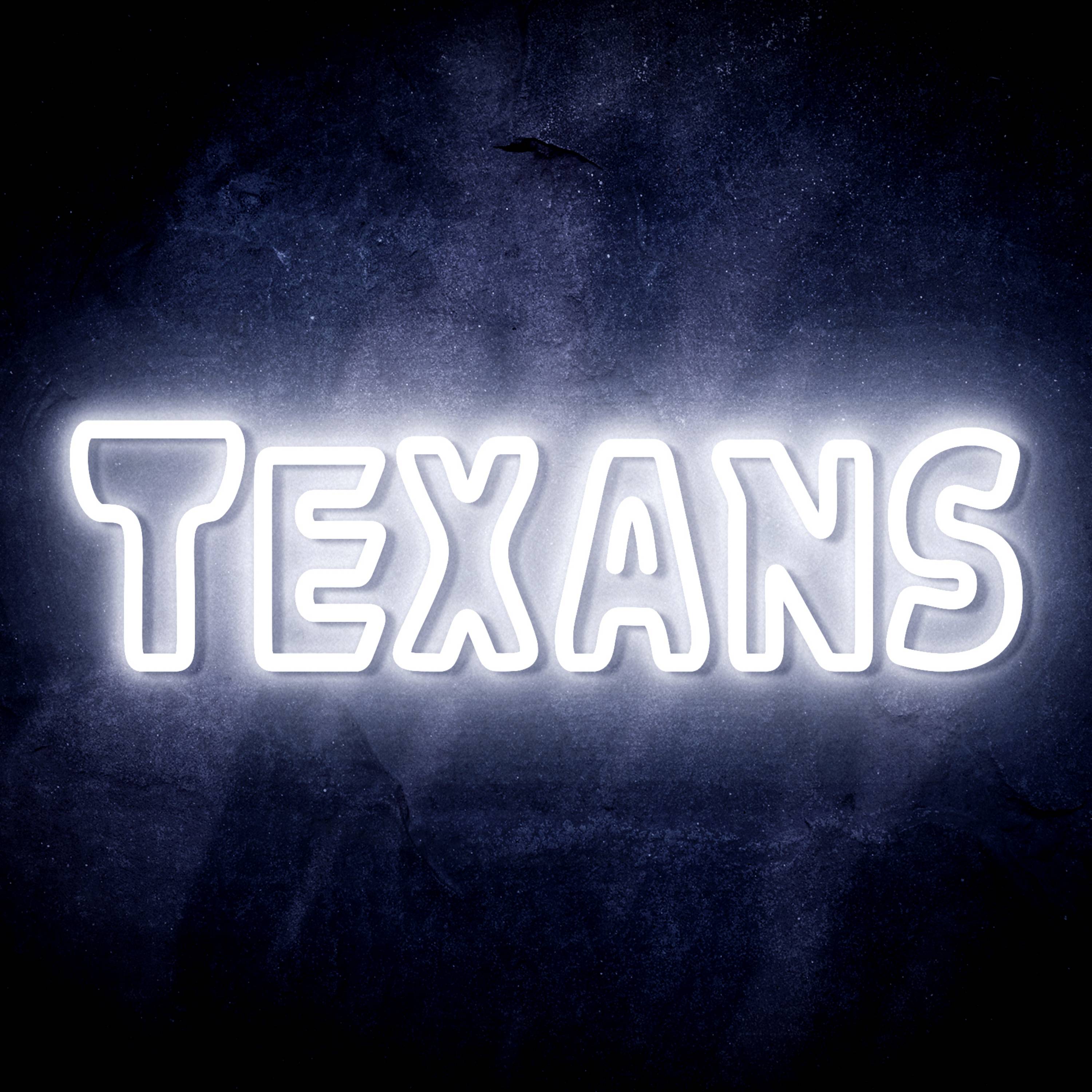 NFL TEXANS Flex Neon-like LED Sign