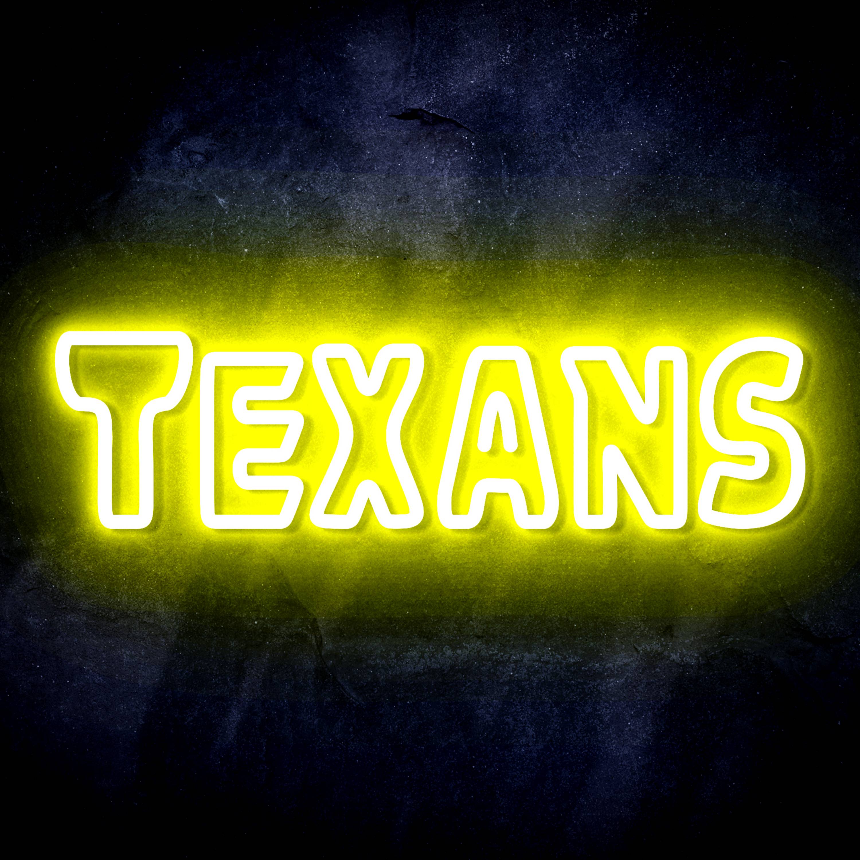 NFL TEXANS Flex Neon-like LED Sign