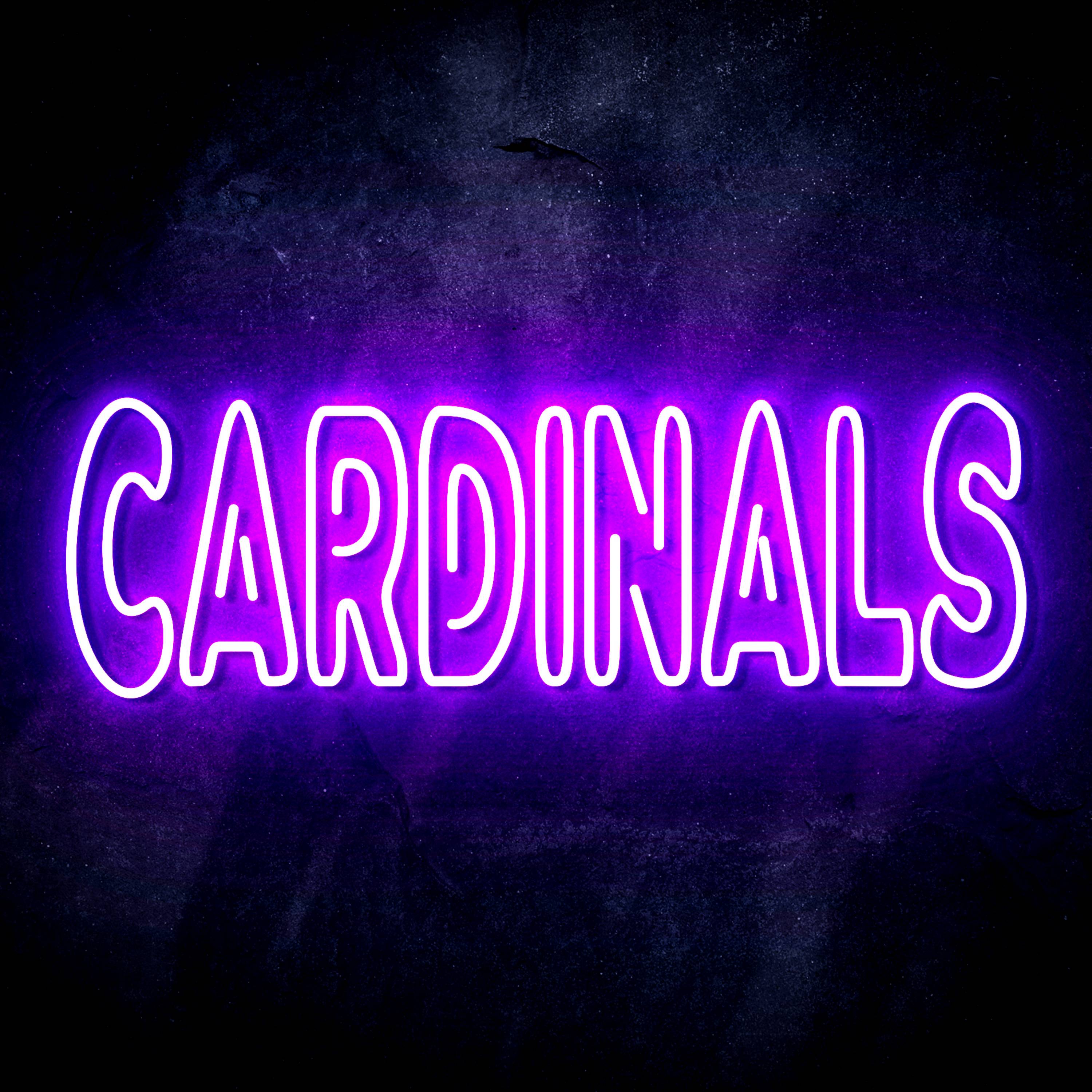 NFL CARDINALS Flex Neon-like LED Sign