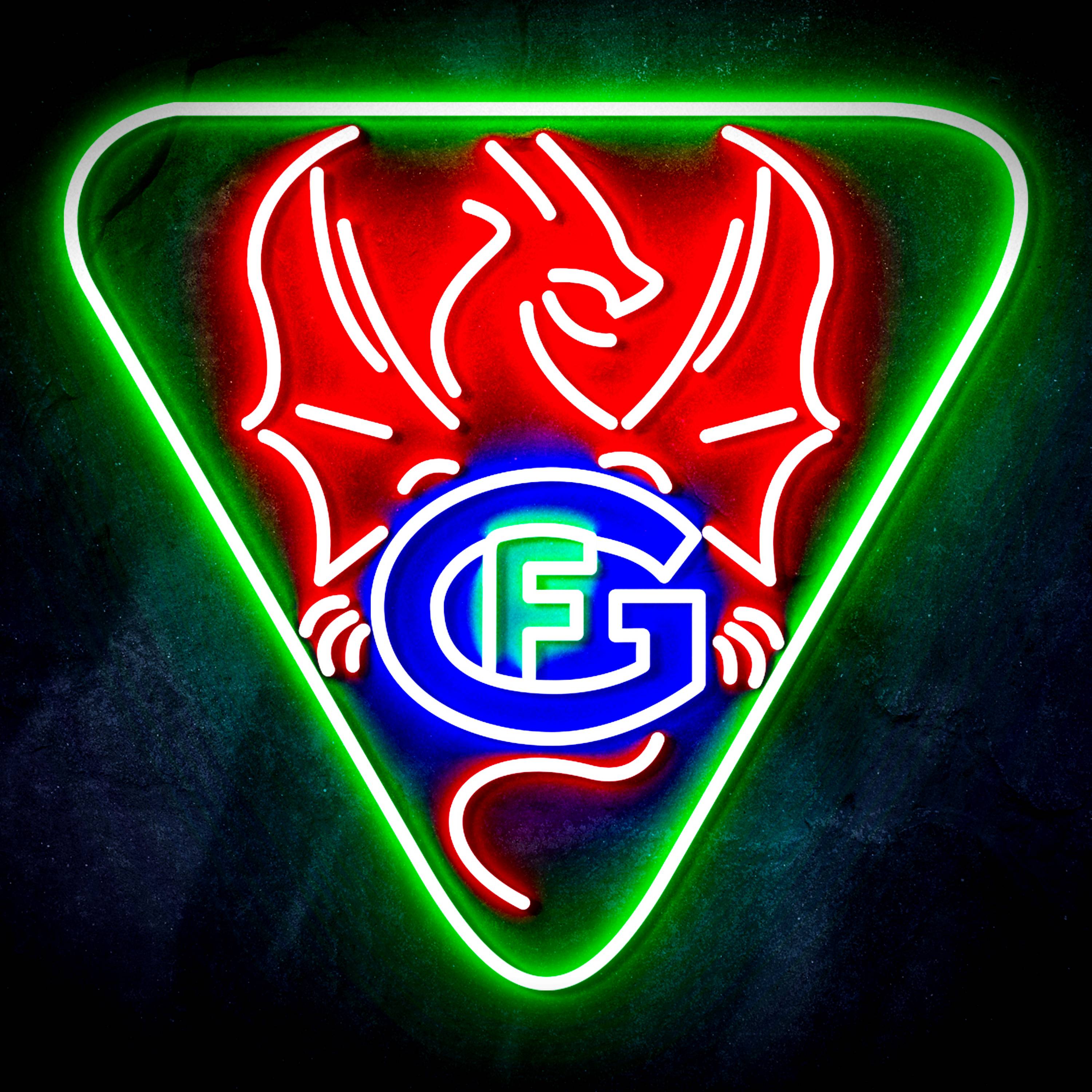 Hockey Club Fribourg-Gott茅ron logo Flex Neon-like LED Sign