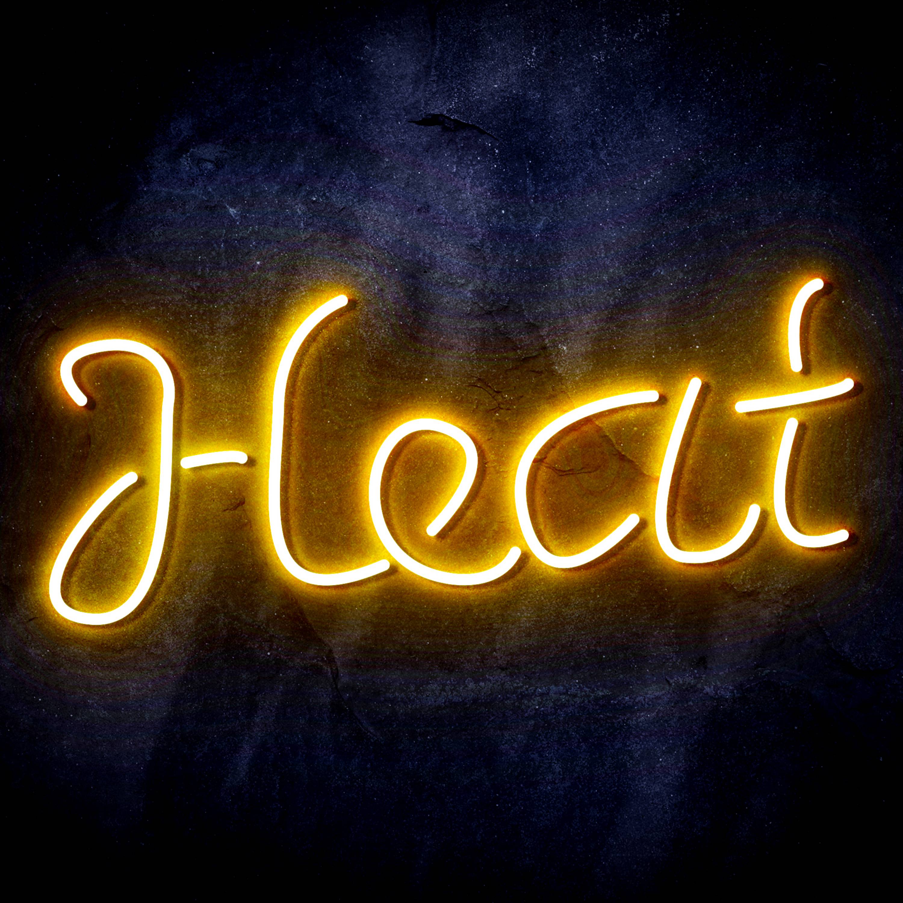 NBA Miami Heat Flex Neon-like LED Sign