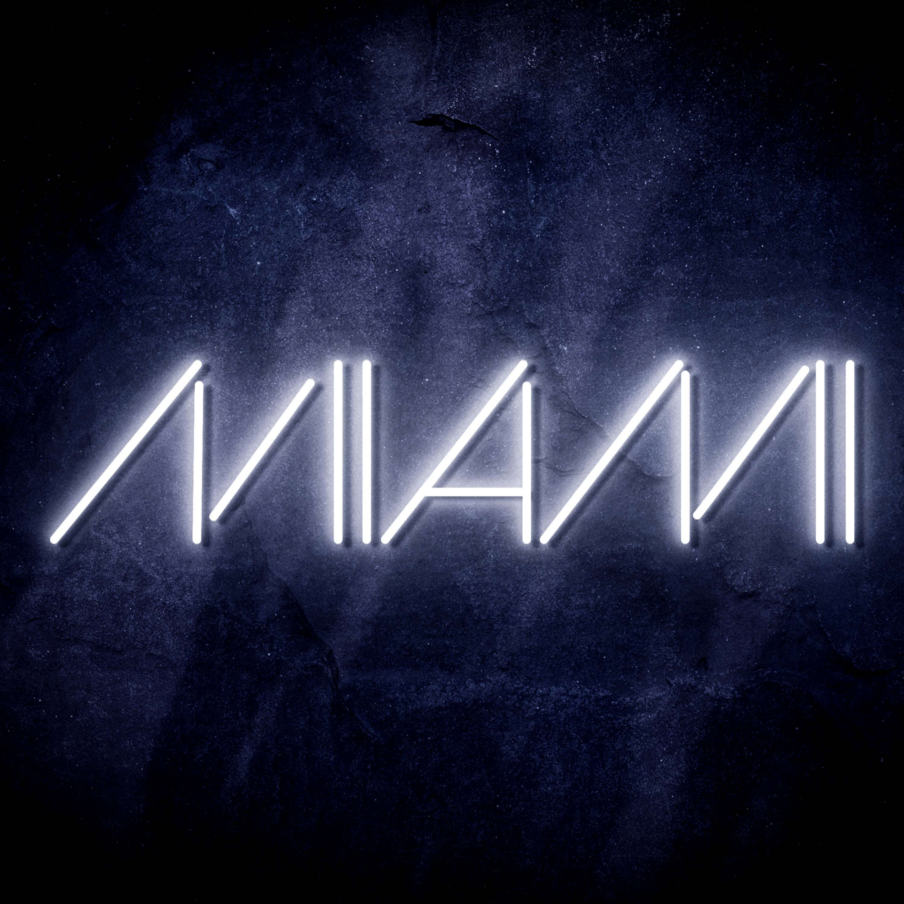 NBA Miami Heat Flex Neon-like LED Sign
