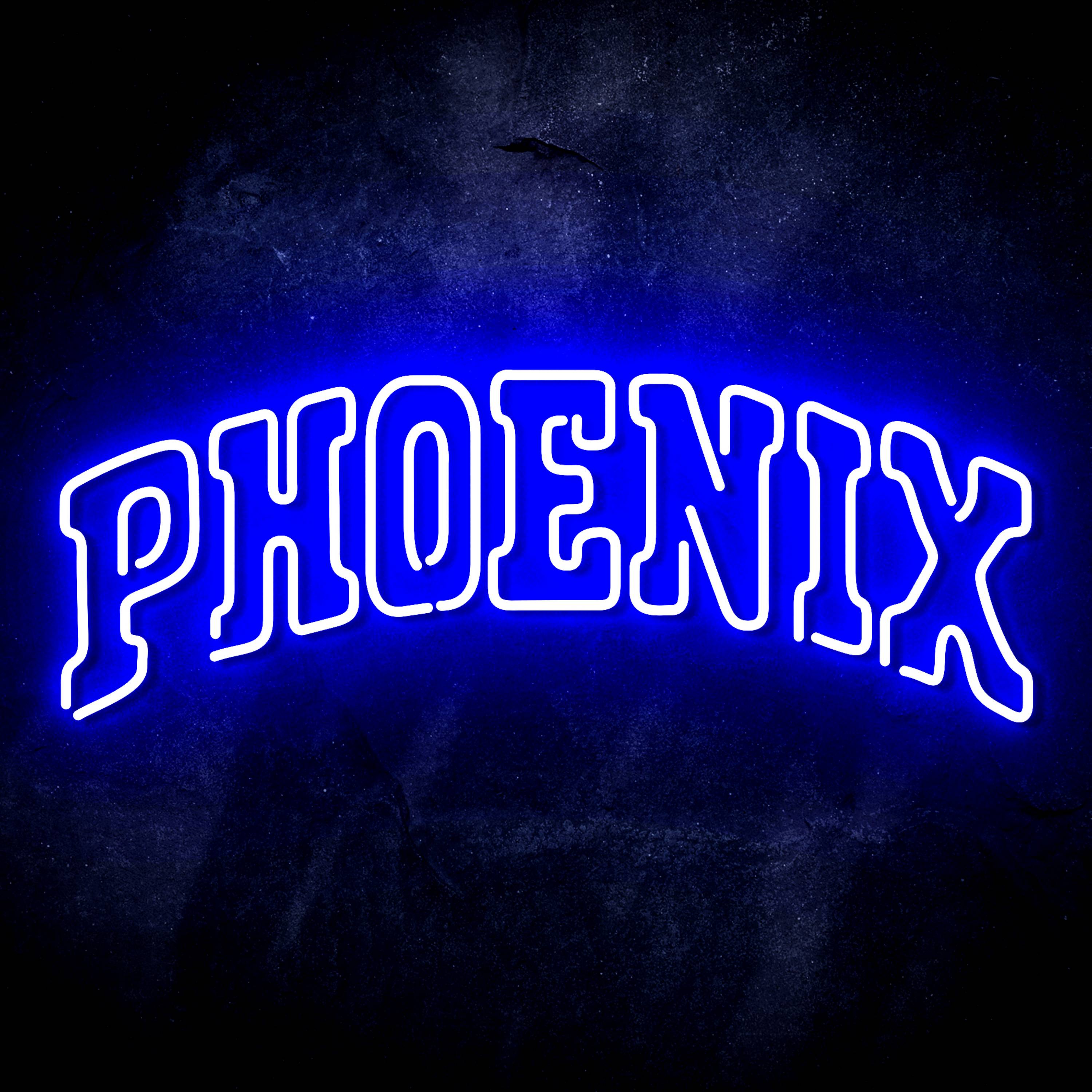 NBA Phoenix Suns Flex Neon-like LED Sign