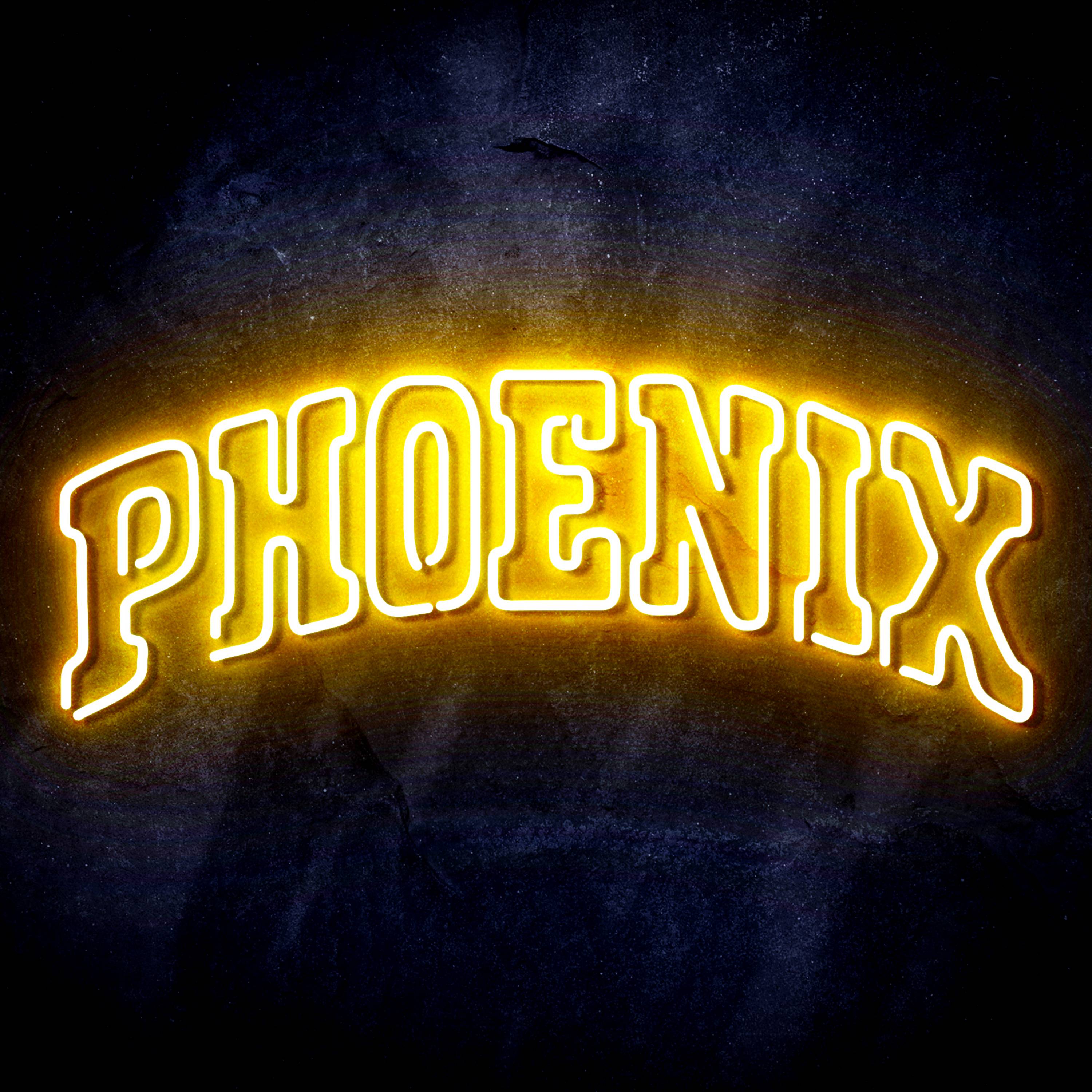 NBA Phoenix Suns Flex Neon-like LED Sign