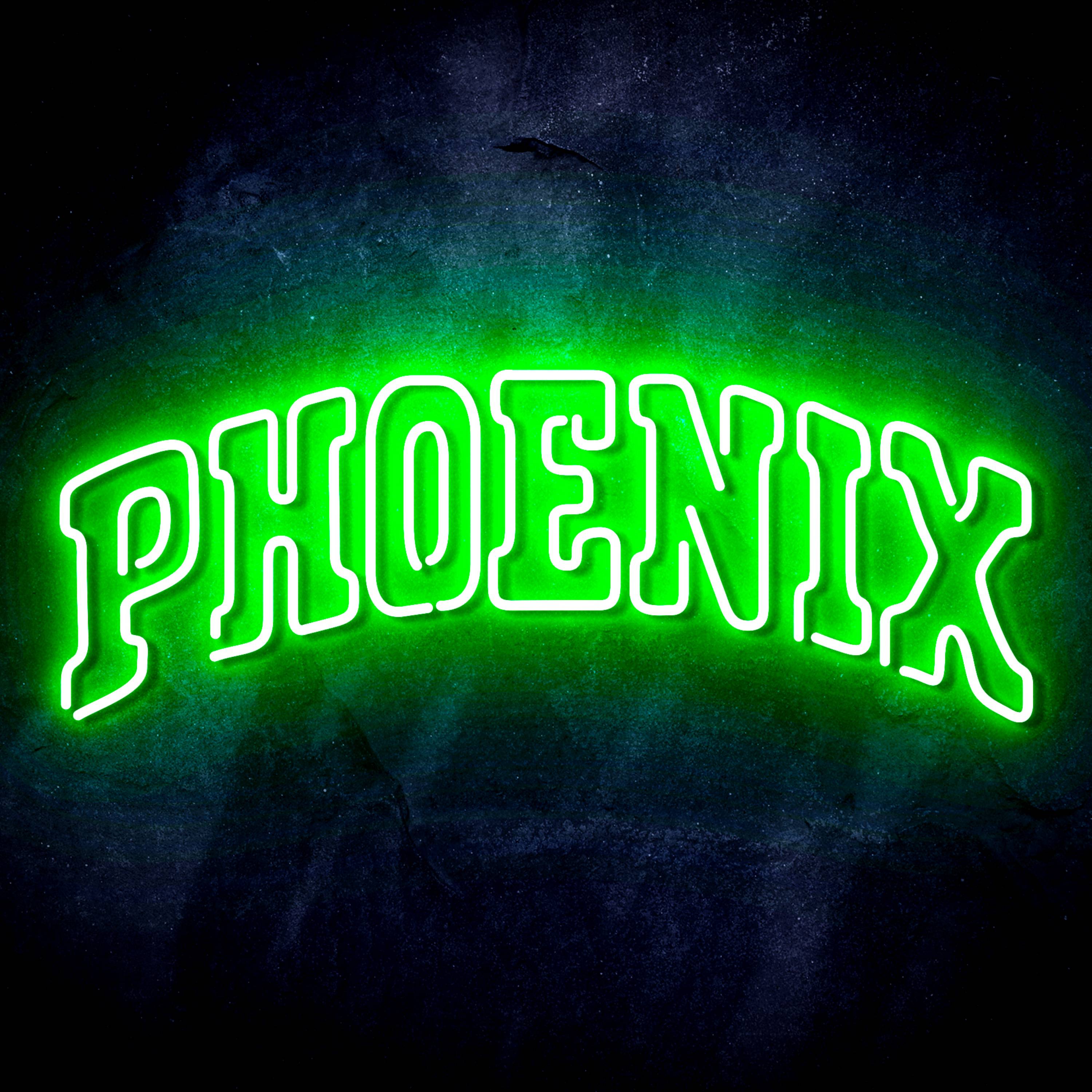 NBA Phoenix Suns Flex Neon-like LED Sign