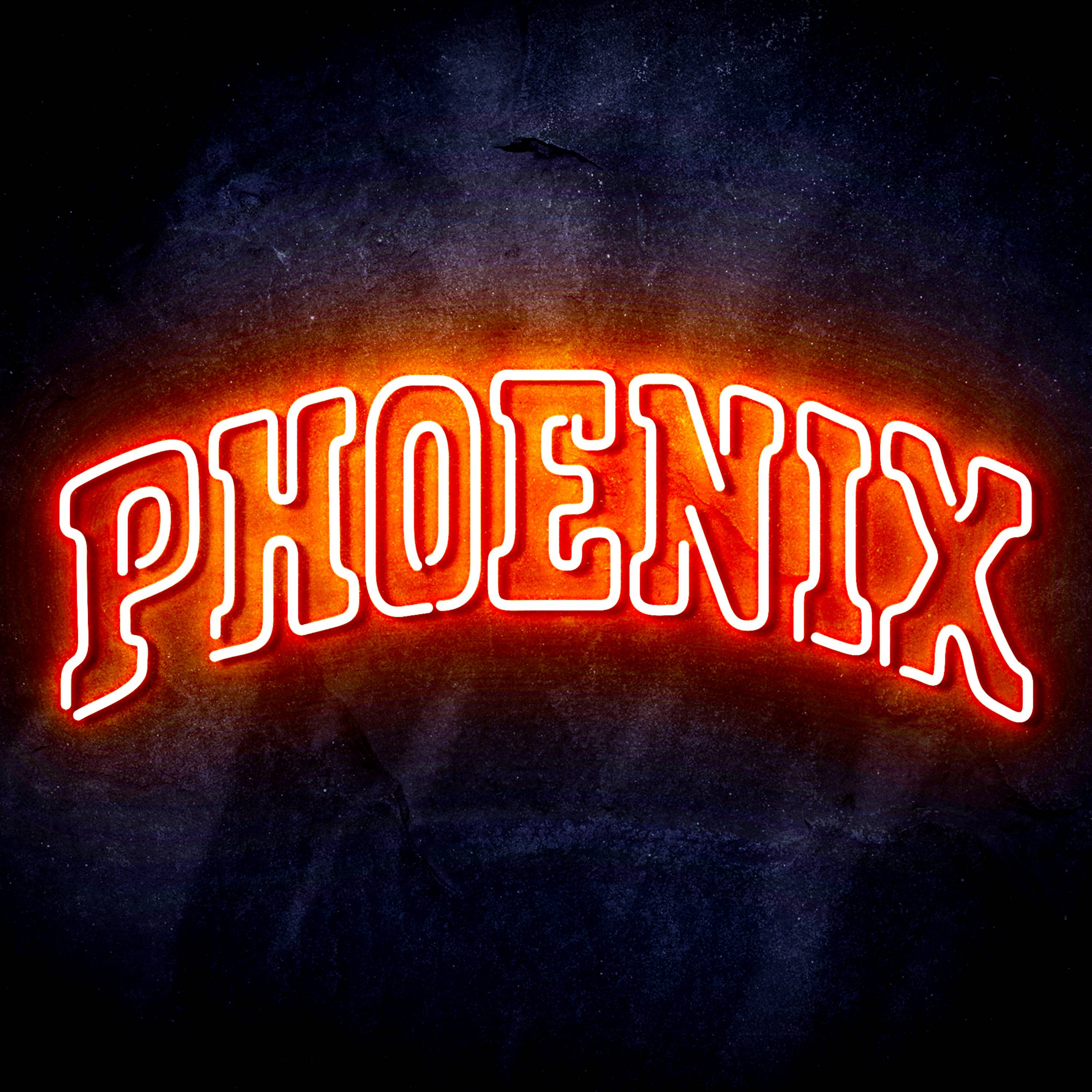 NBA Phoenix Suns Flex Neon-like LED Sign