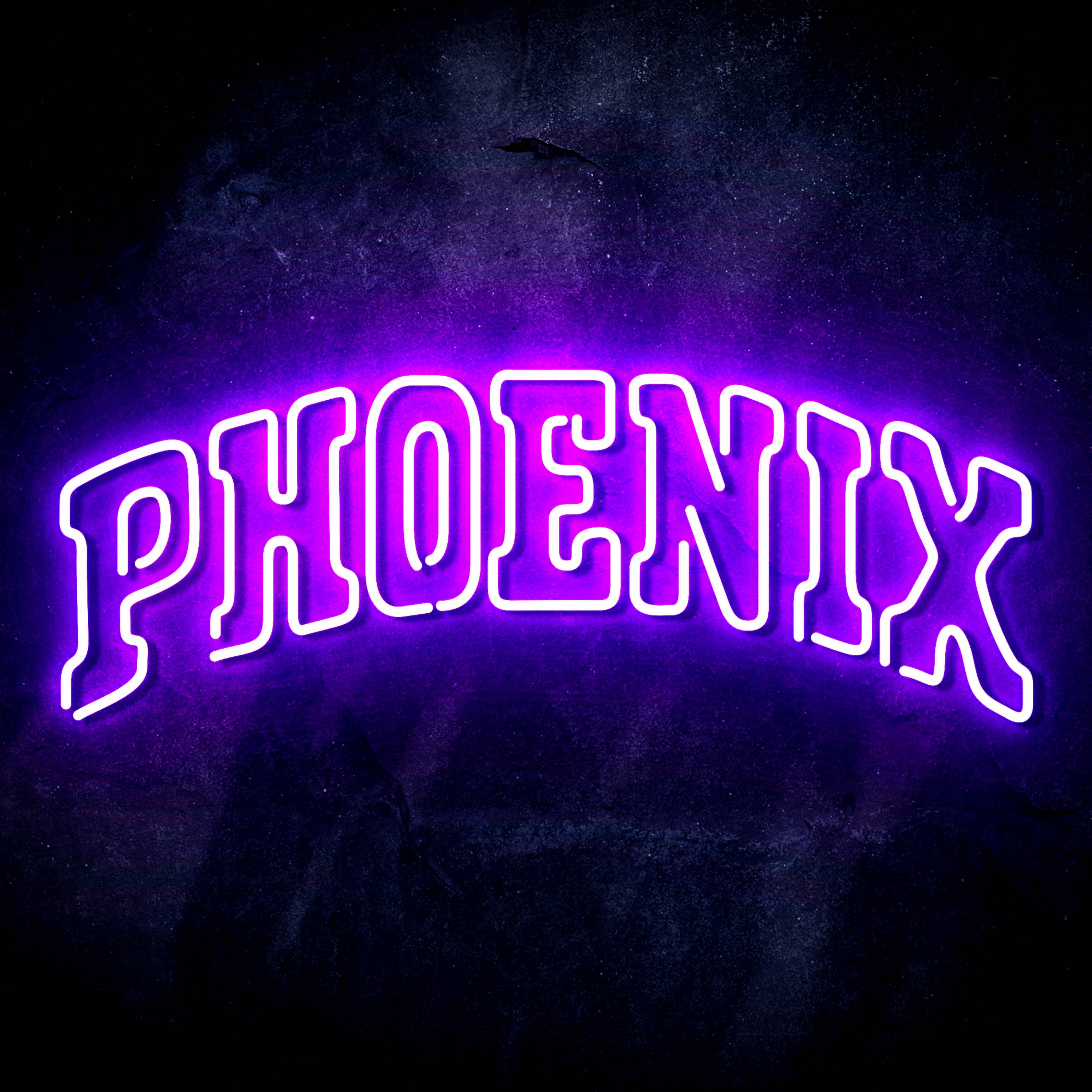 NBA Phoenix Suns Flex Neon-like LED Sign