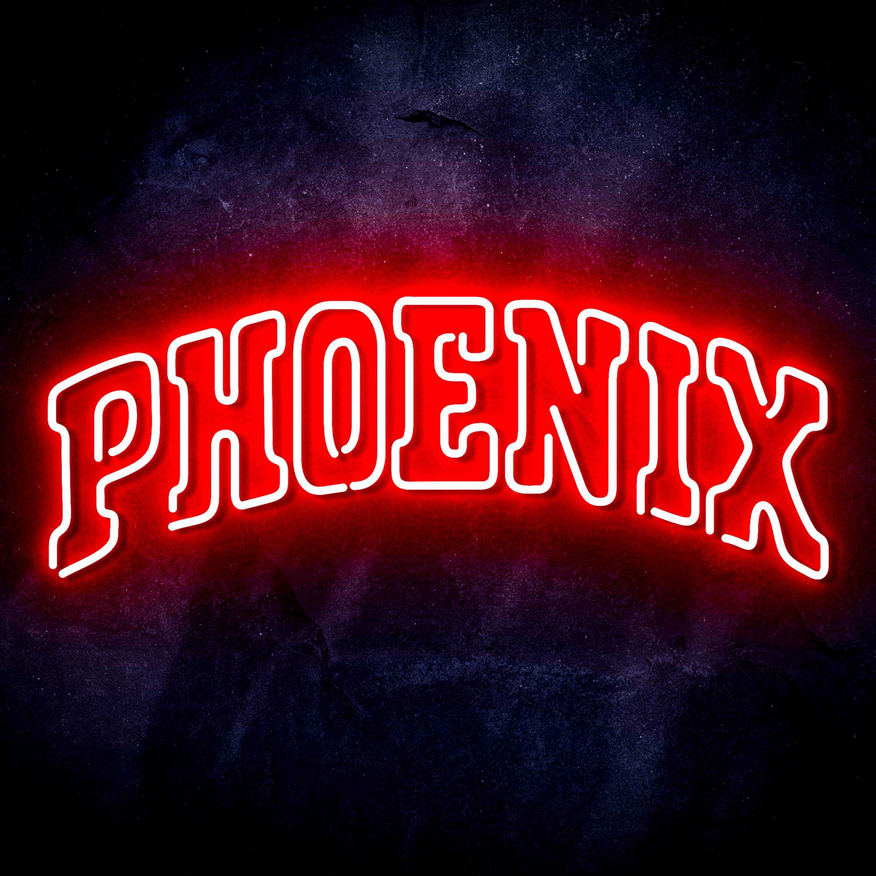 NBA Phoenix Suns Flex Neon-like LED Sign