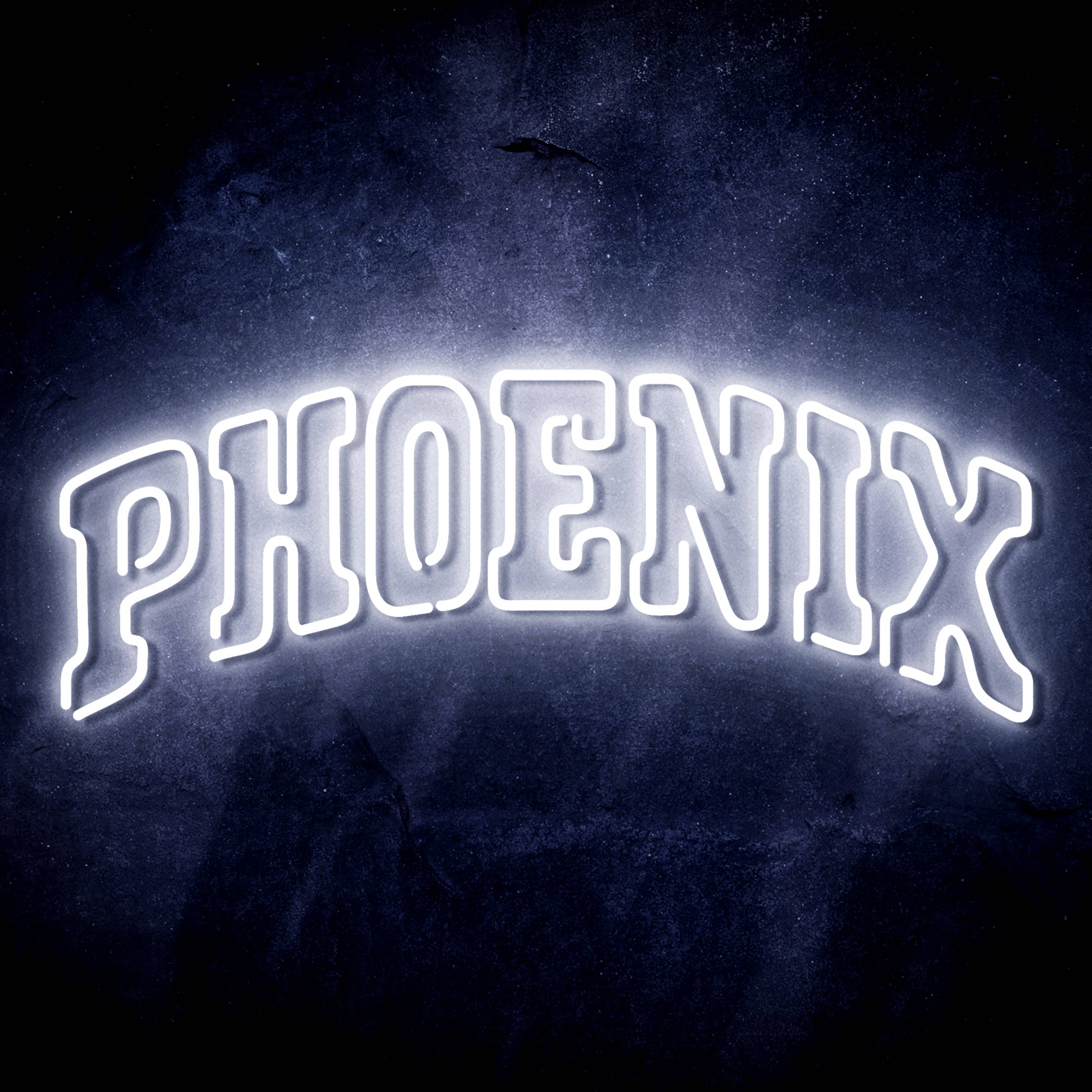 NBA Phoenix Suns Flex Neon-like LED Sign