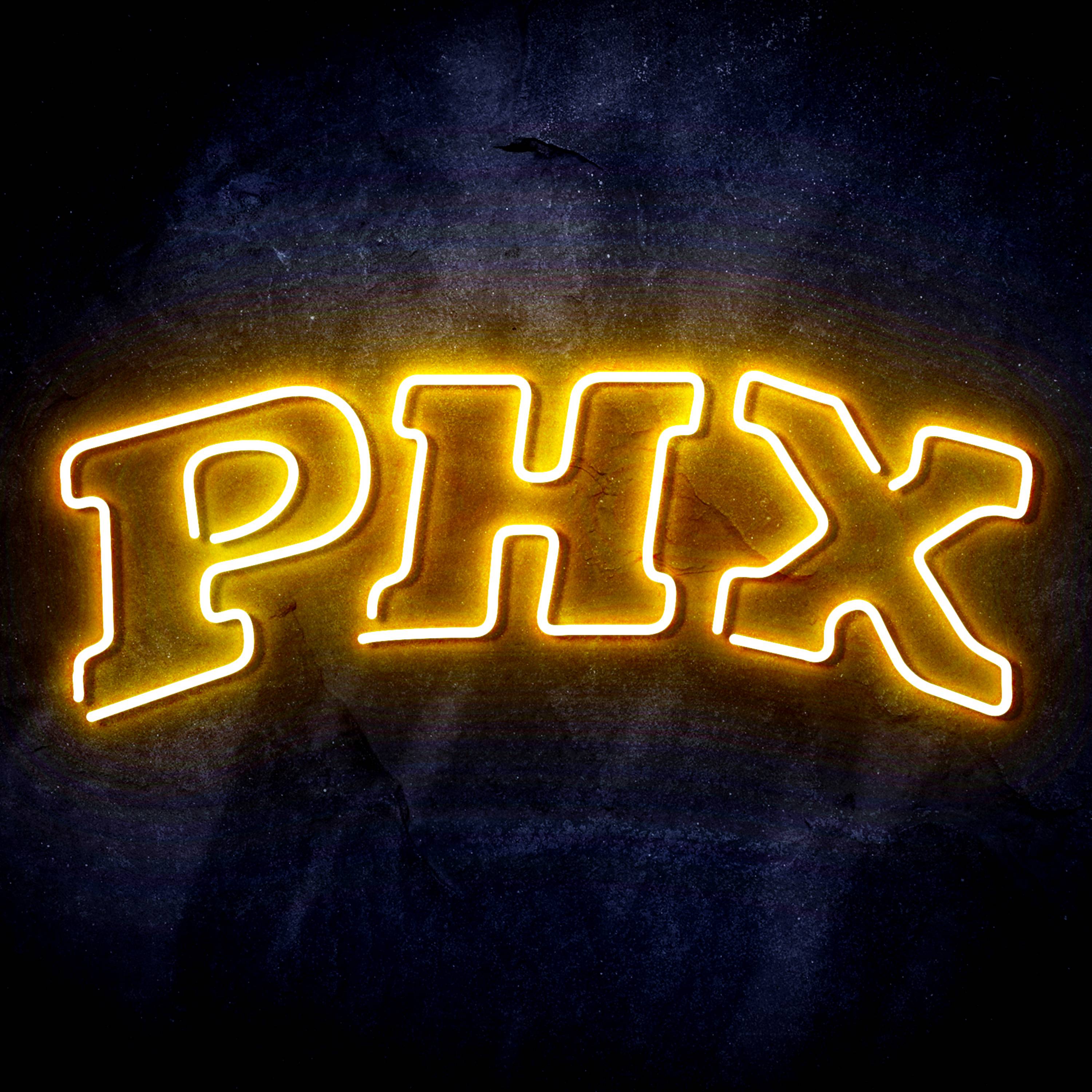 NBA Phoenix Suns Flex Neon-like LED Sign