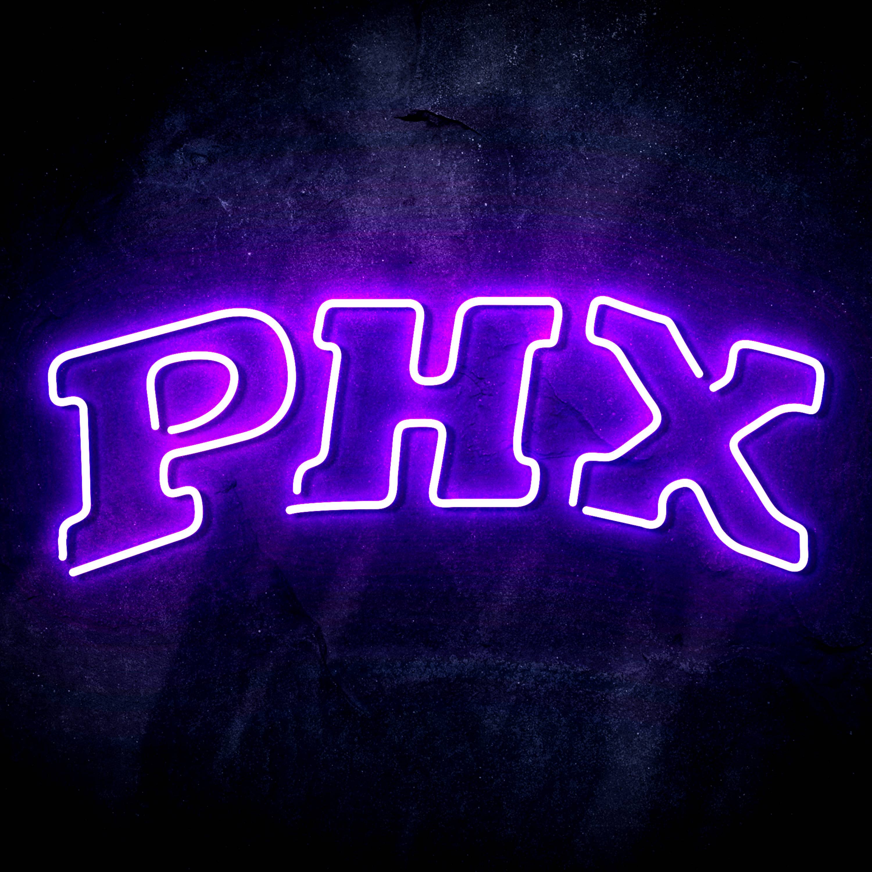 NBA Phoenix Suns Flex Neon-like LED Sign