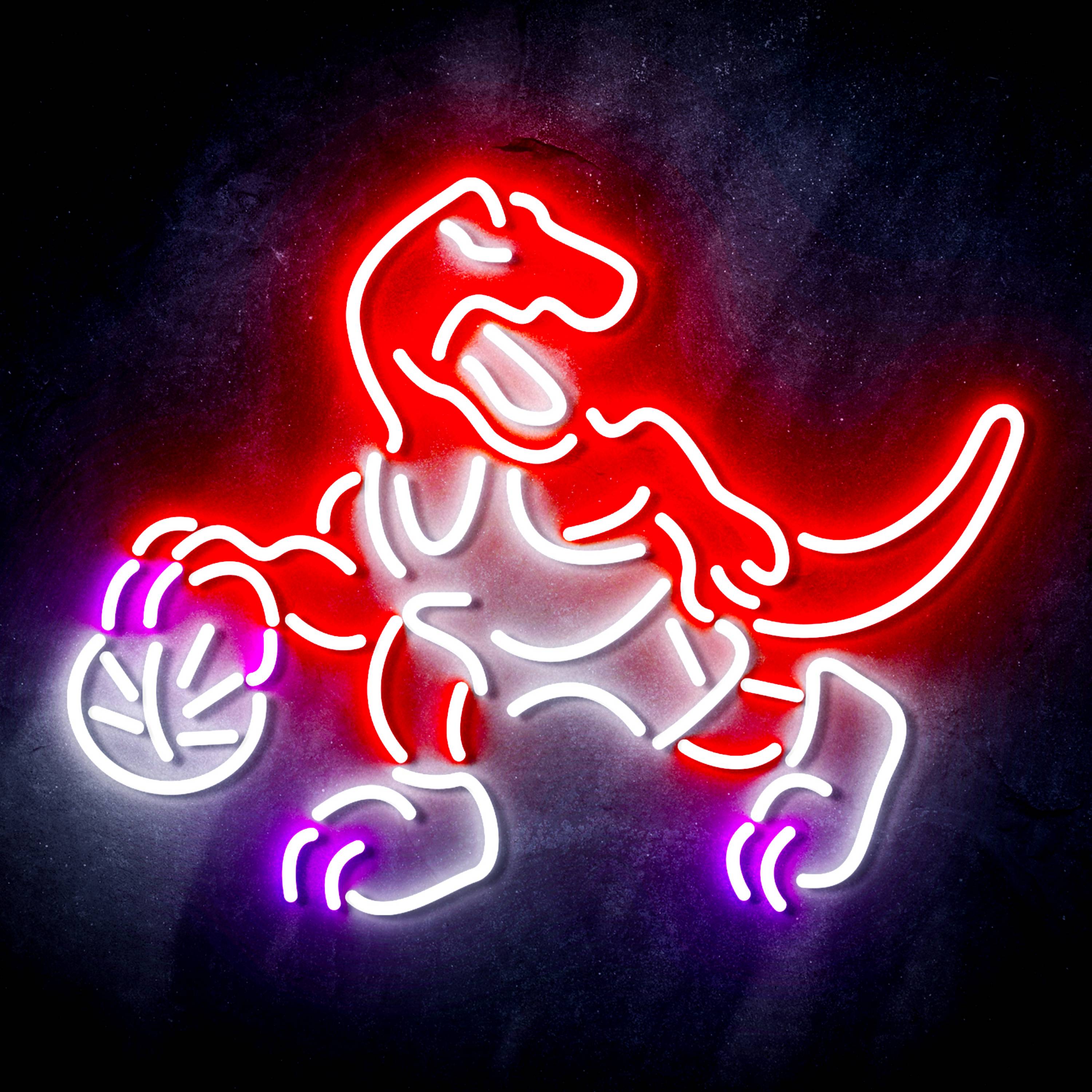 NBA Toronto Raptors Flex Neon-like LED Sign