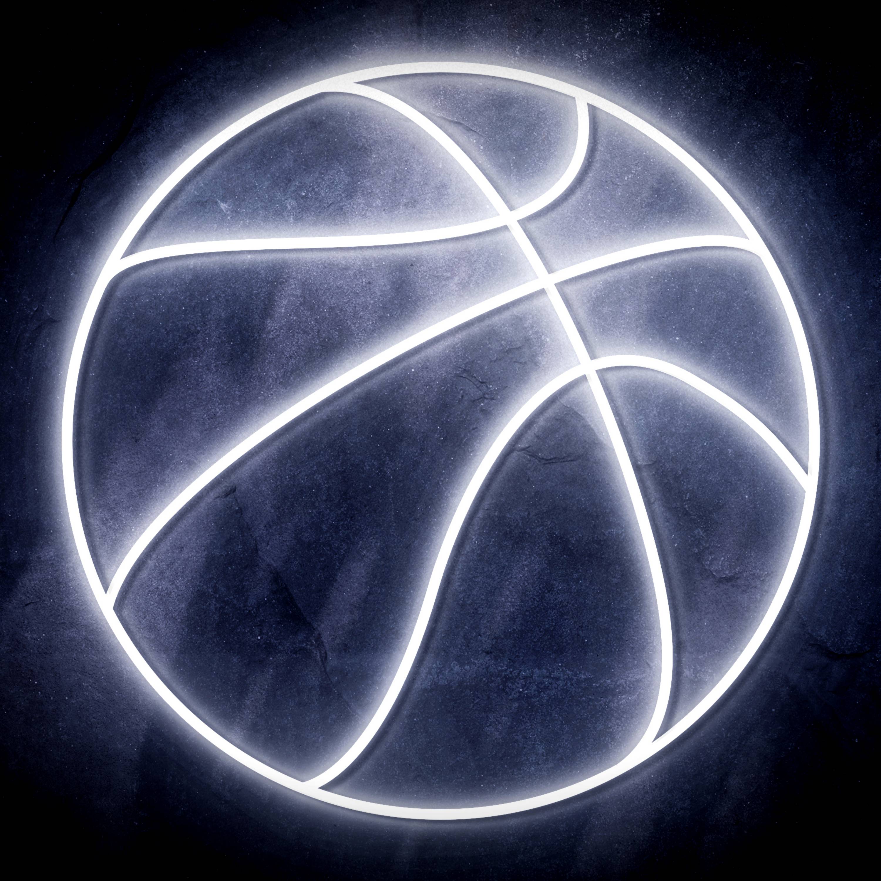 NBA Basketball Flex Neon-like LED Sign