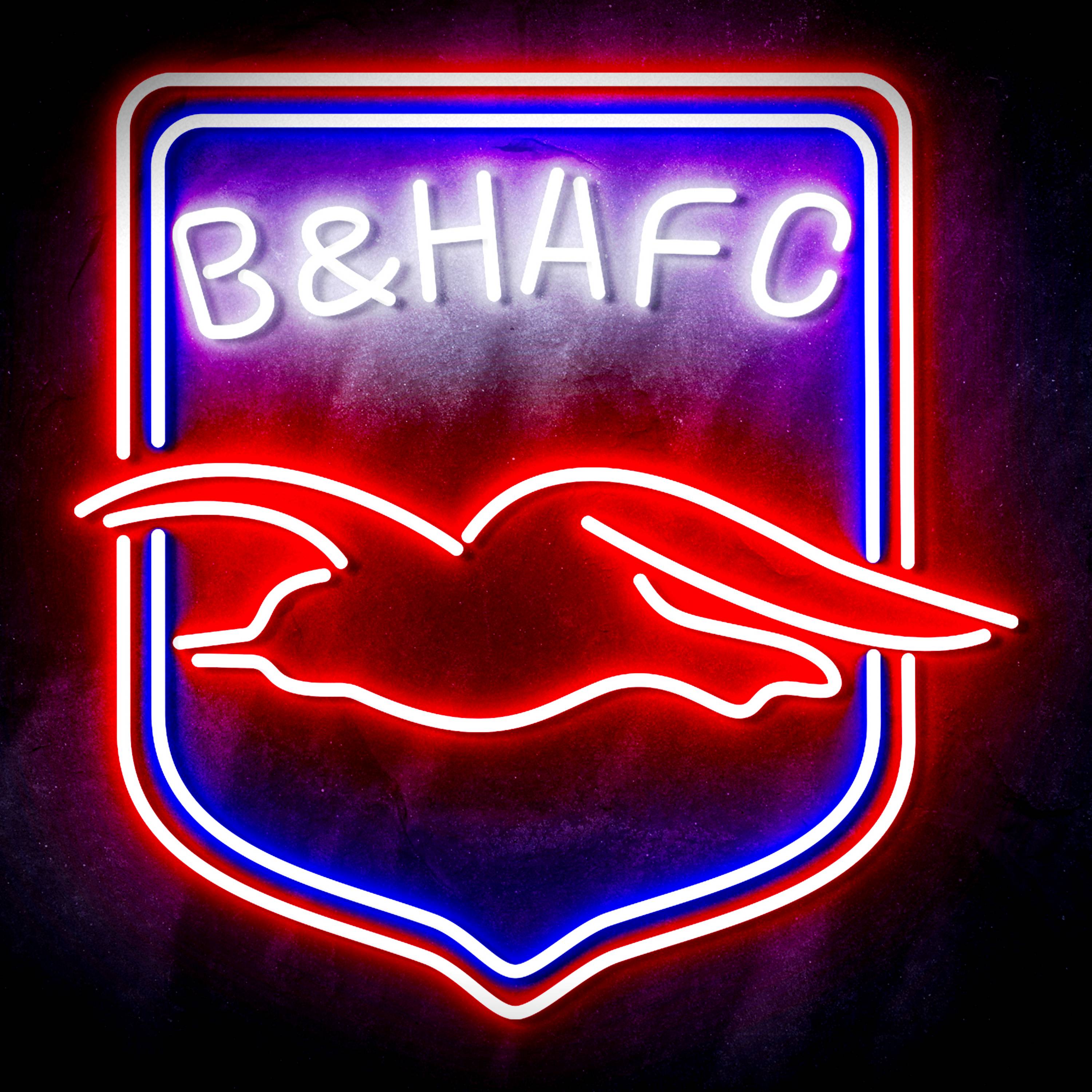 Premier League Brighton & Hove Albion F.C Flex Neon-like LED Sign