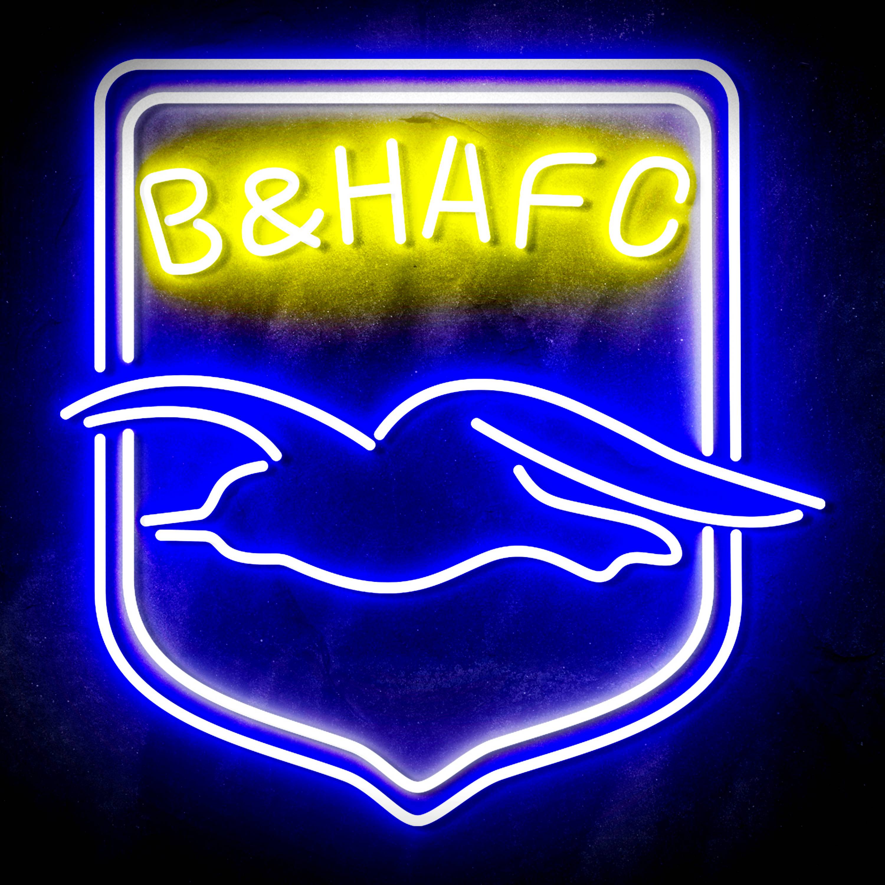 Premier League Brighton & Hove Albion F.C Flex Neon-like LED Sign