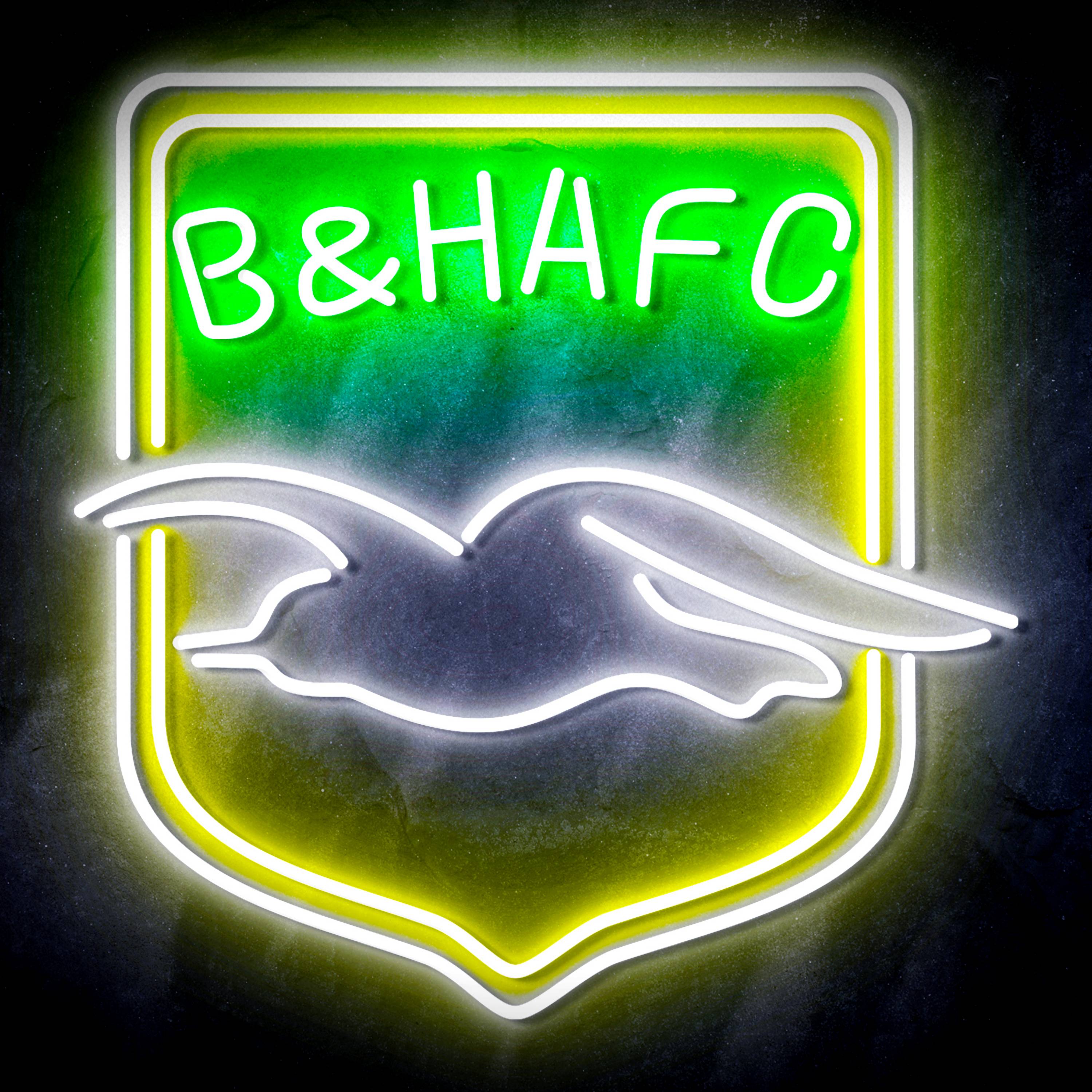 Premier League Brighton & Hove Albion F.C Flex Neon-like LED Sign