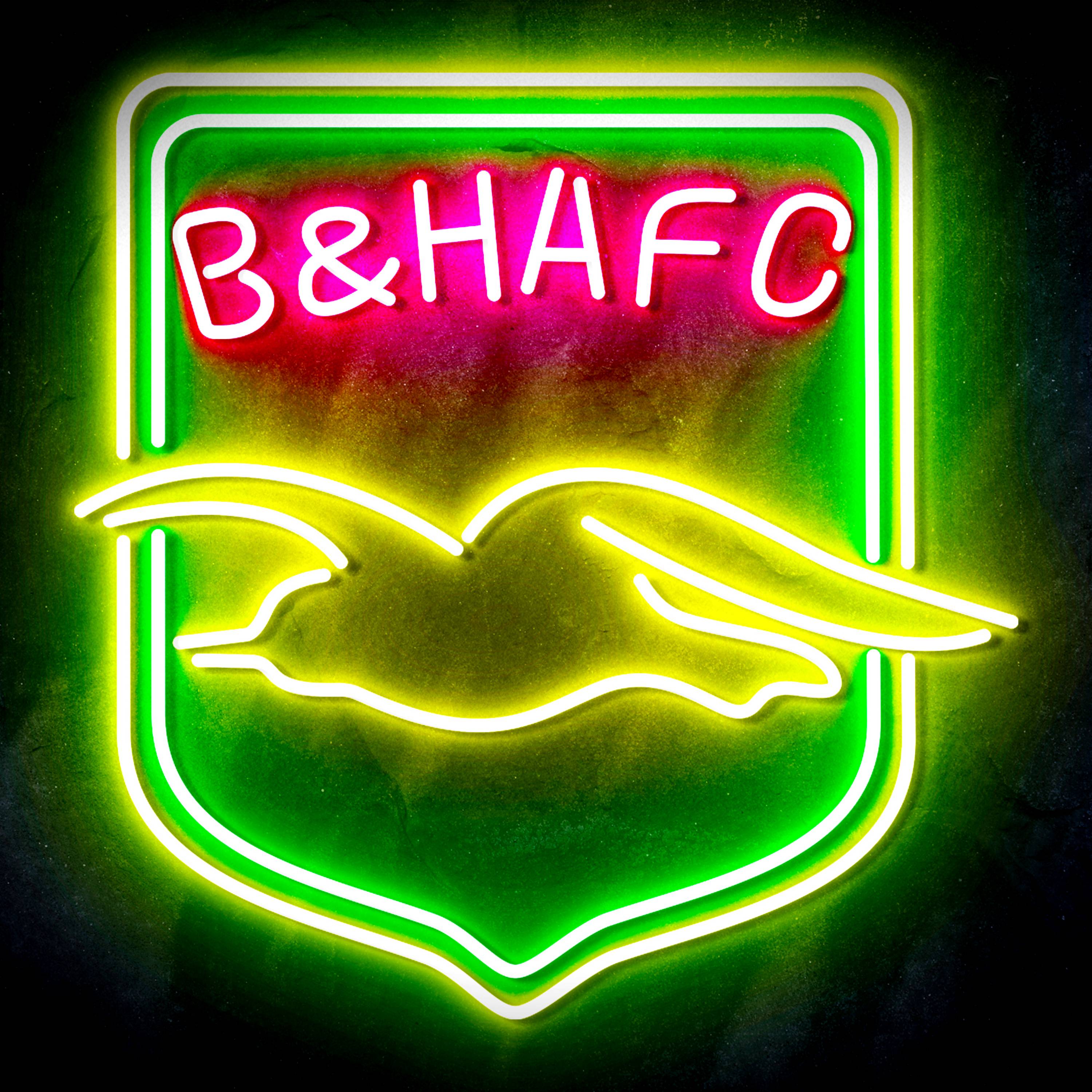 Premier League Brighton & Hove Albion F.C Flex Neon-like LED Sign