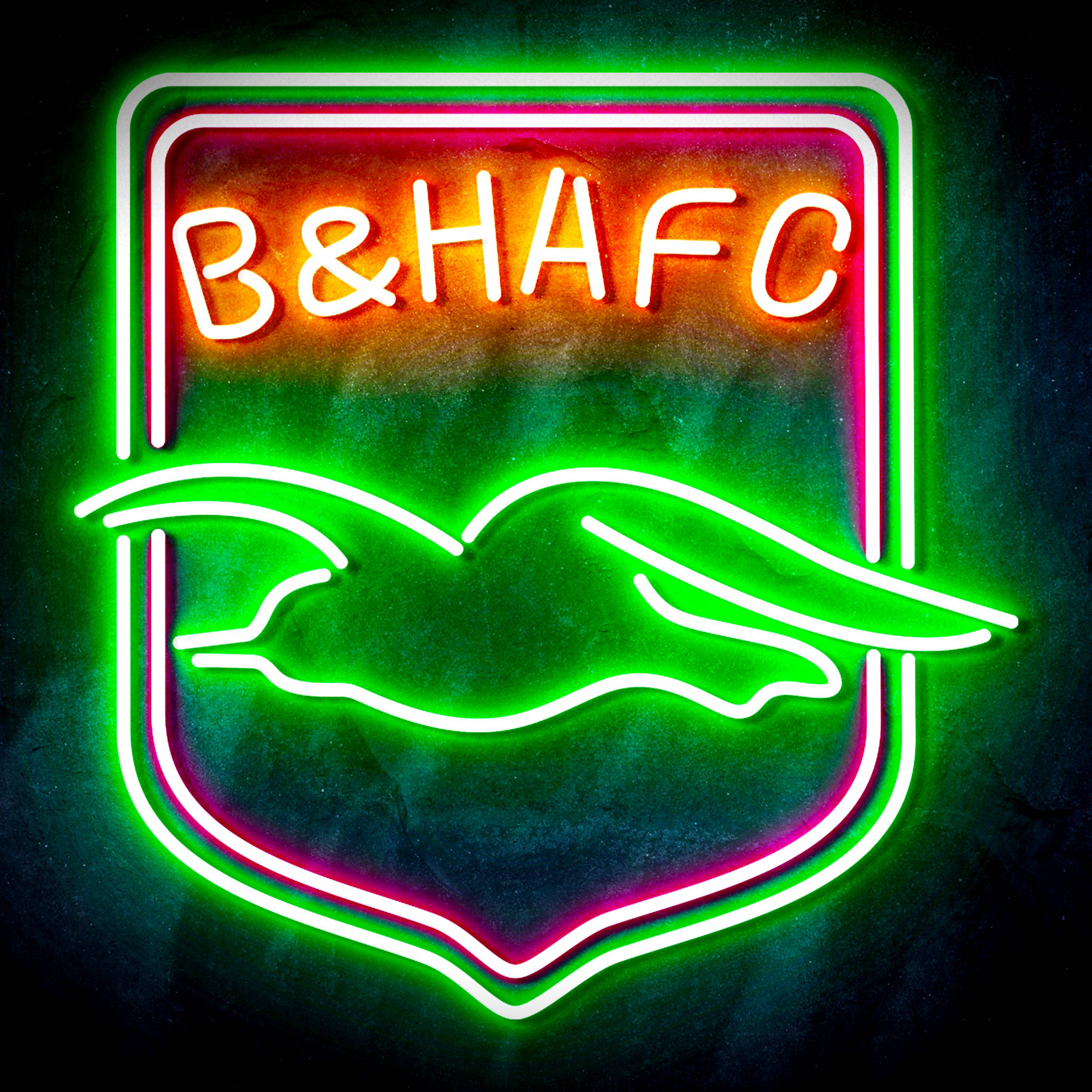 Premier League Brighton & Hove Albion F.C Flex Neon-like LED Sign