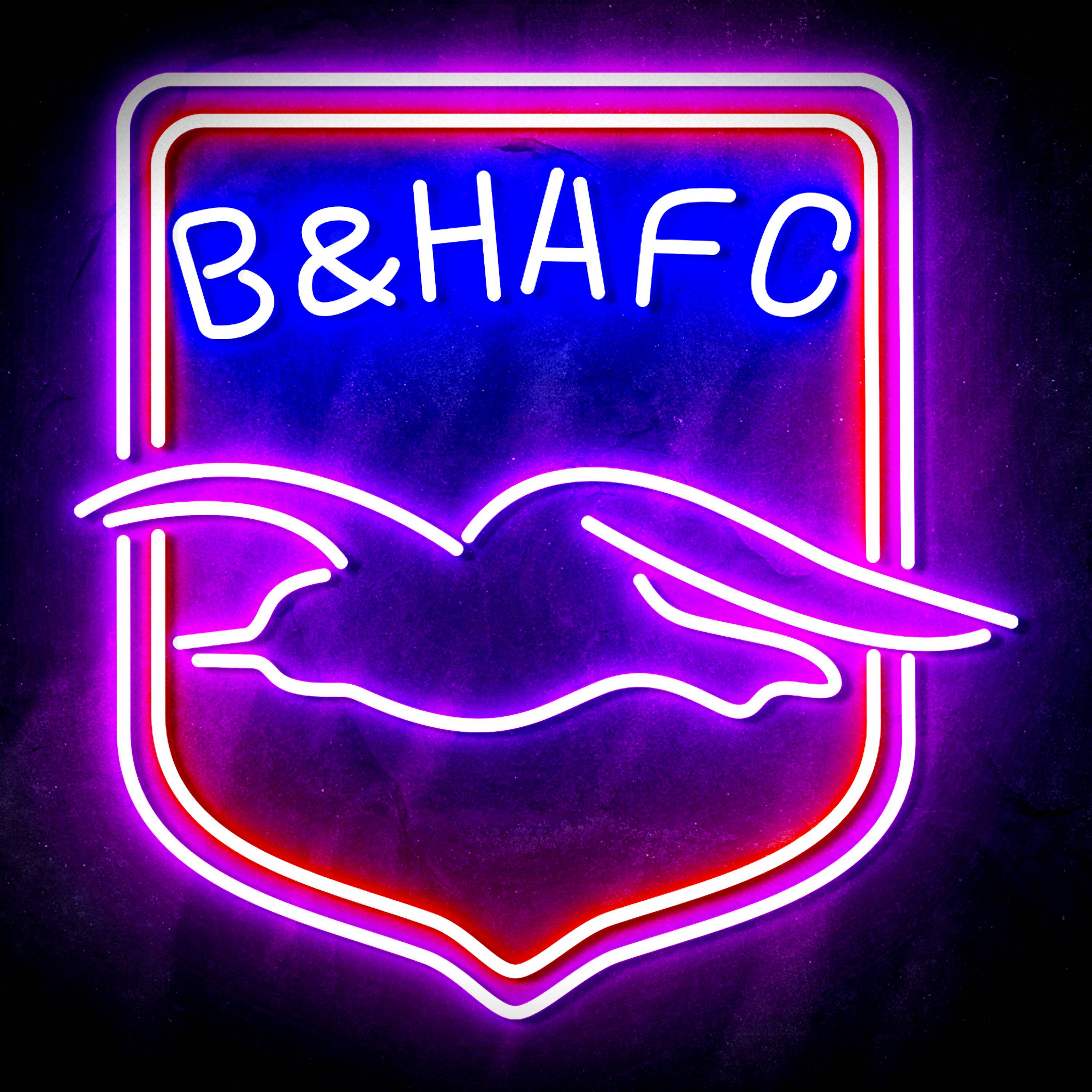 Premier League Brighton & Hove Albion F.C Flex Neon-like LED Sign