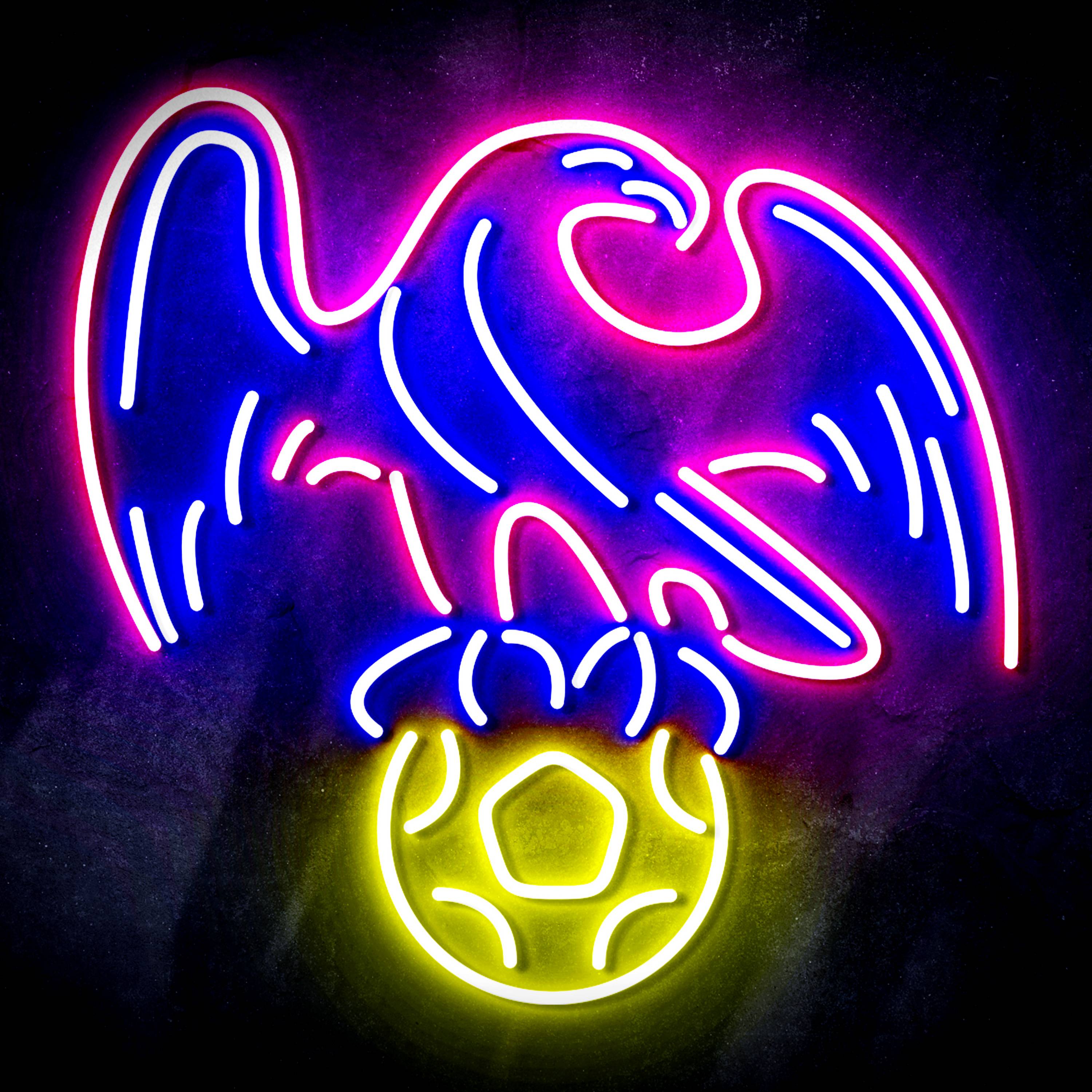 Premier League Crystal Palace Football Club Flex Neon-like LED Sign