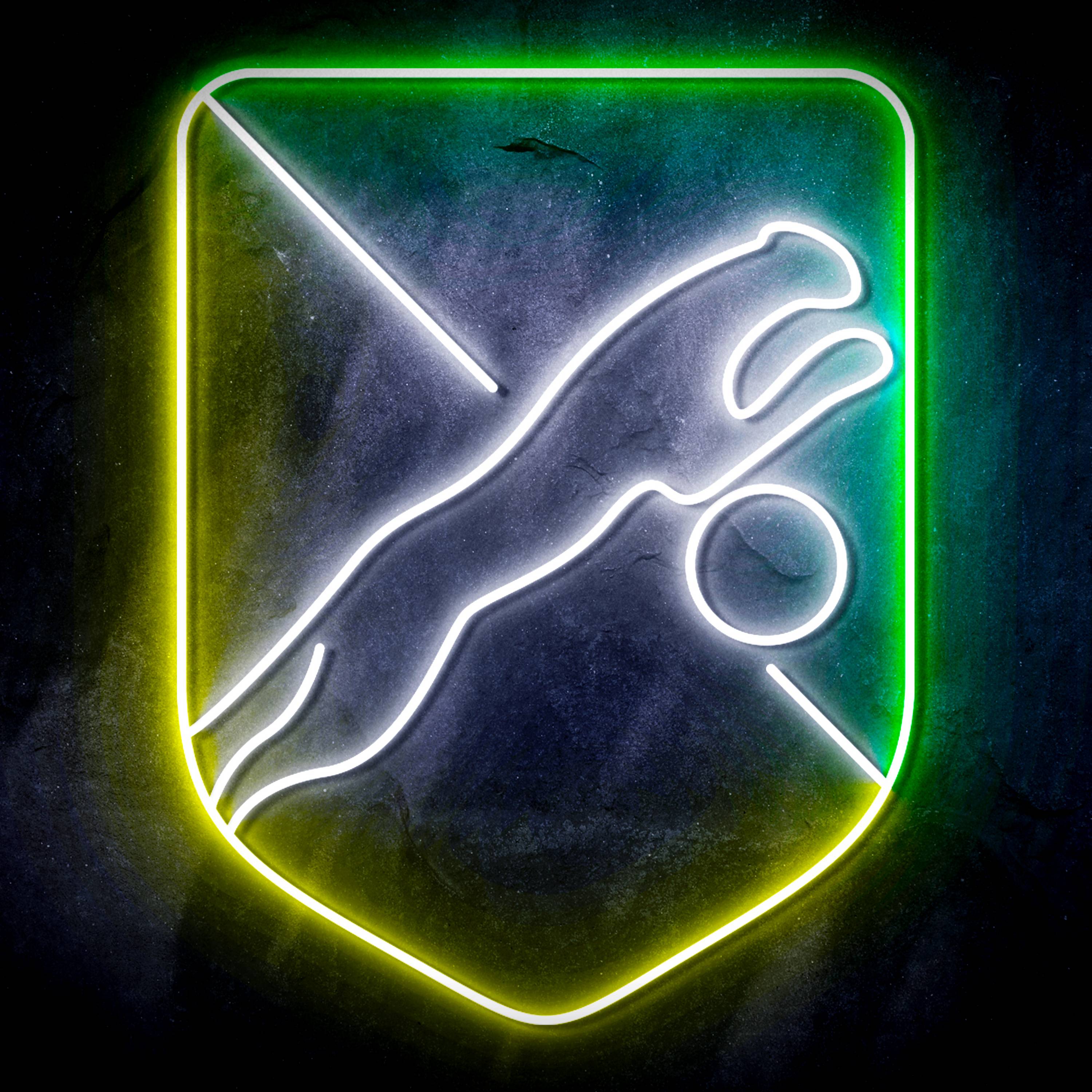 Ligue Association Sportive de Saint-脡tienne Loire Flex Neon-like LED Sign