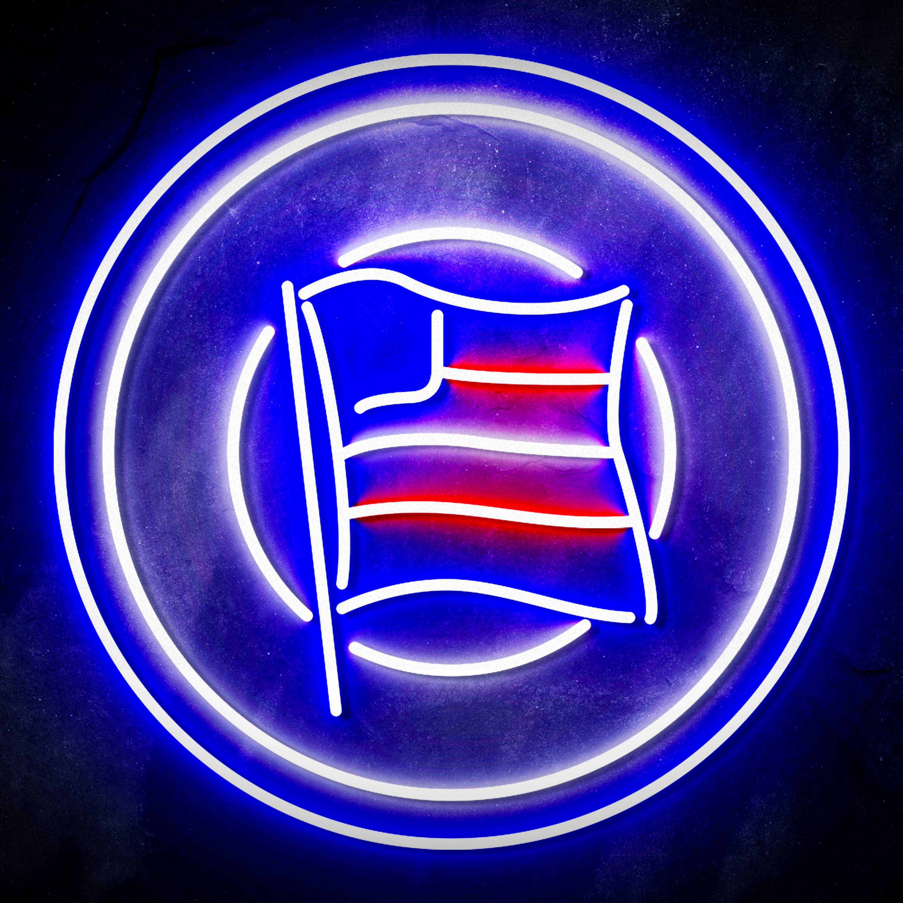 Campeonato Brasileiro S茅rie A Esporte Clube Bahia Flex Neon-like LED Sign