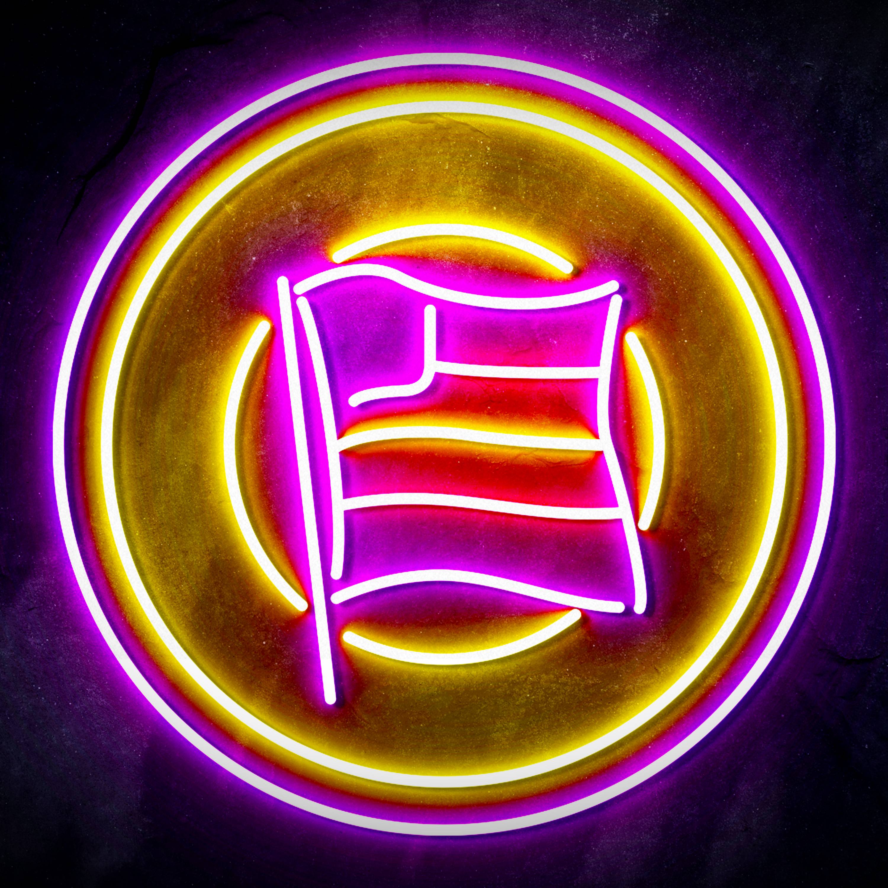 Campeonato Brasileiro S茅rie A Esporte Clube Bahia Flex Neon-like LED Sign