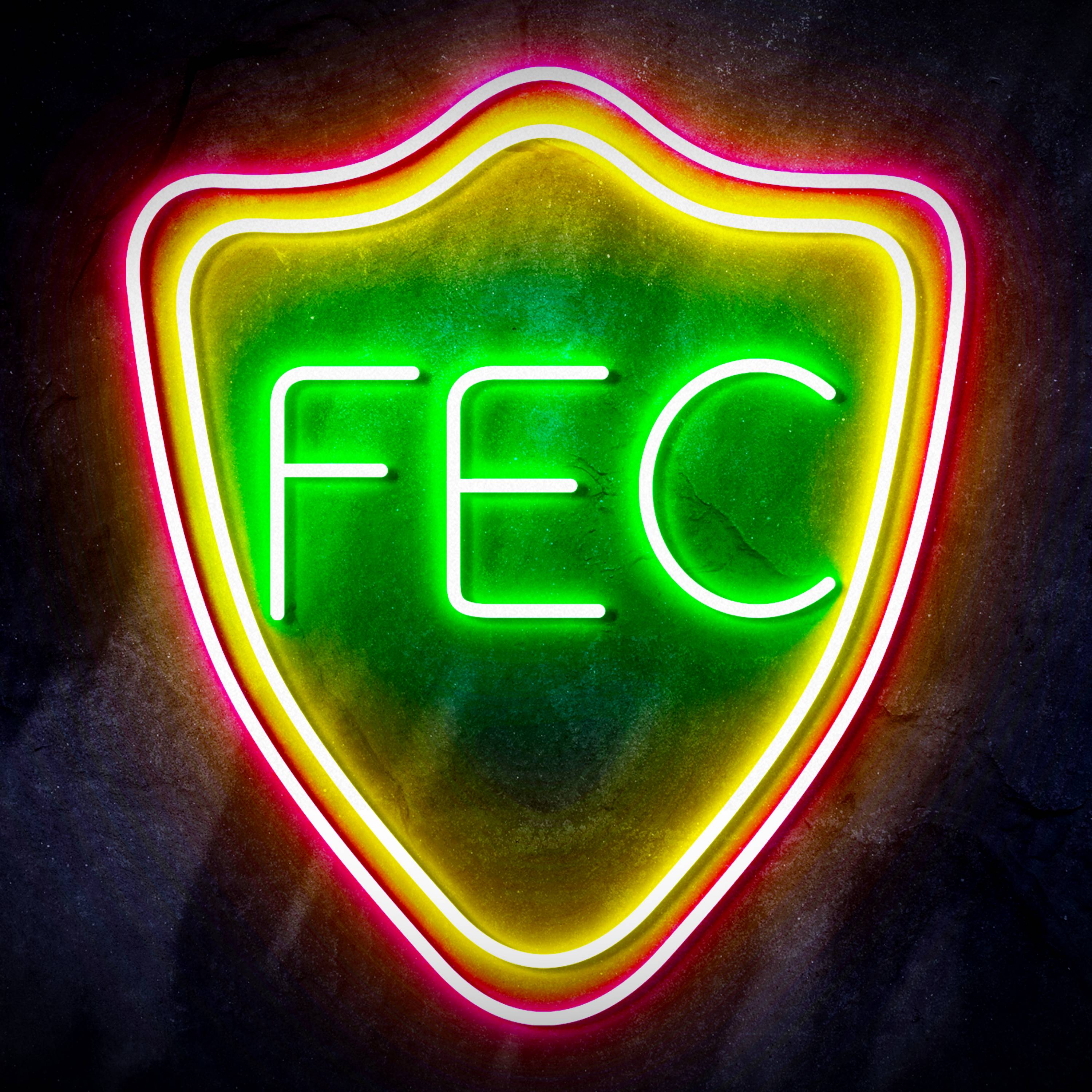 Campeonato Brasileiro S茅rie A Fortaleza Esporte Clube Flex Neon-like LED Sign