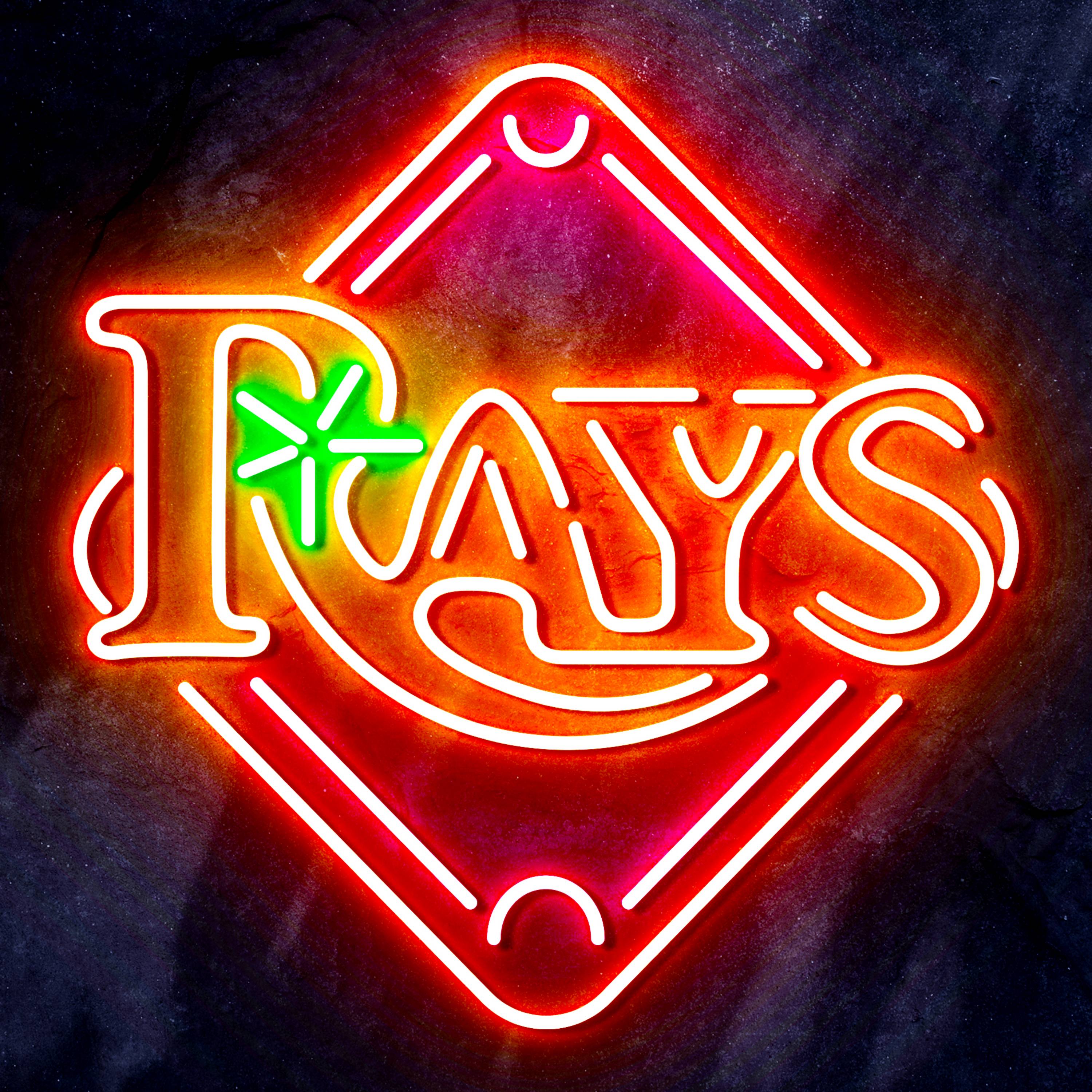 MLB Tampa Bay Rays Flex Neon-like LED Sign
