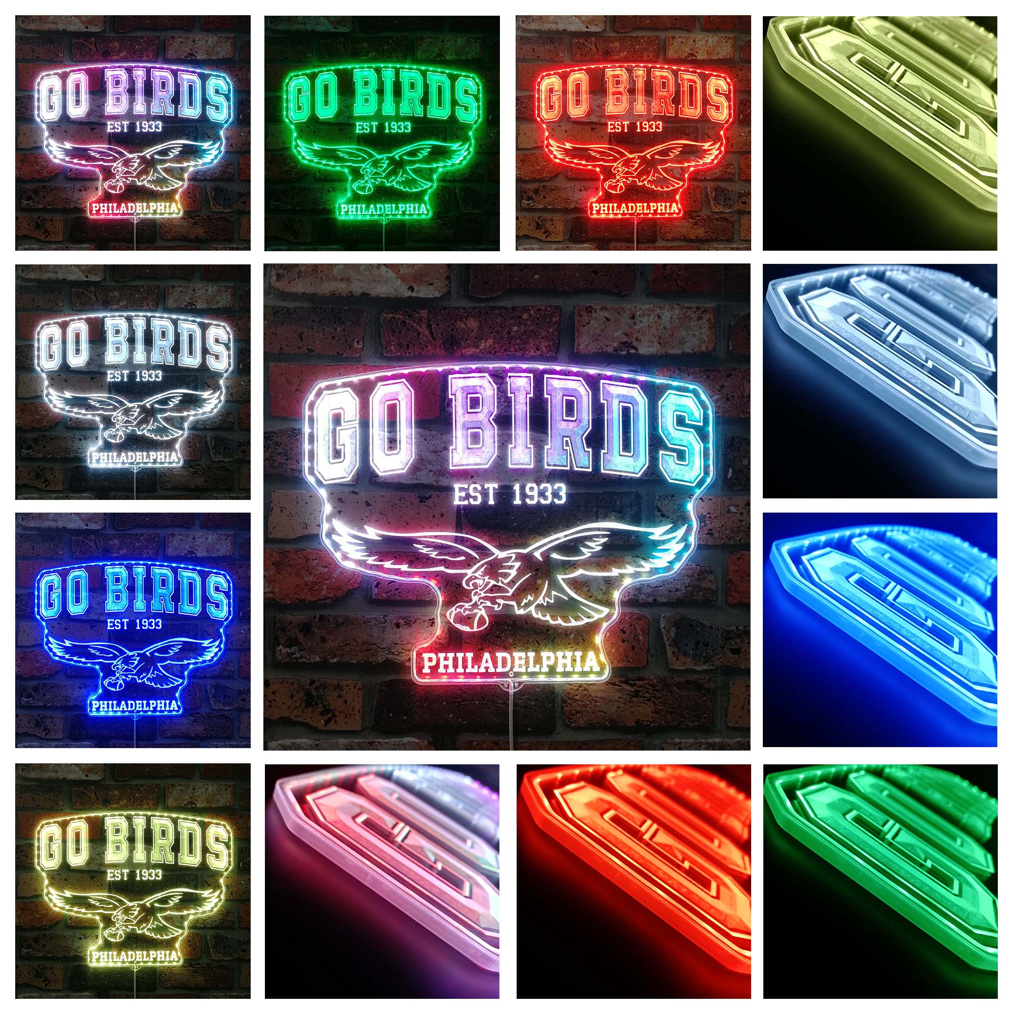 Philadelphia Eagles go birds Dynamic RGB Edge Lit LED Sign