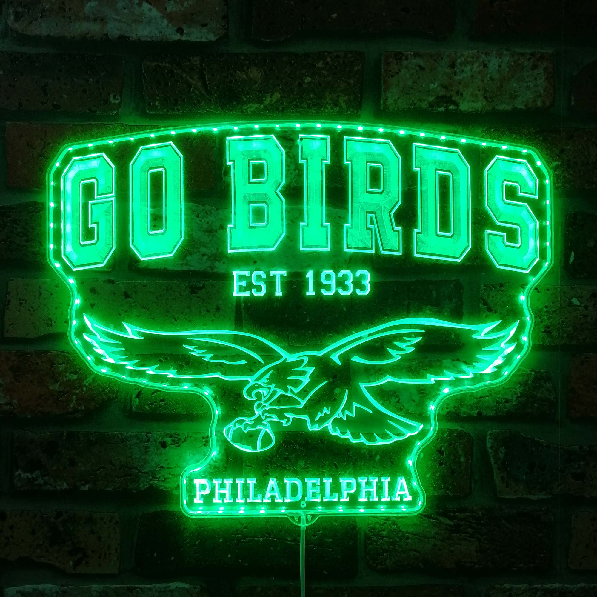 Philadelphia Eagles go birds Dynamic RGB Edge Lit LED Sign