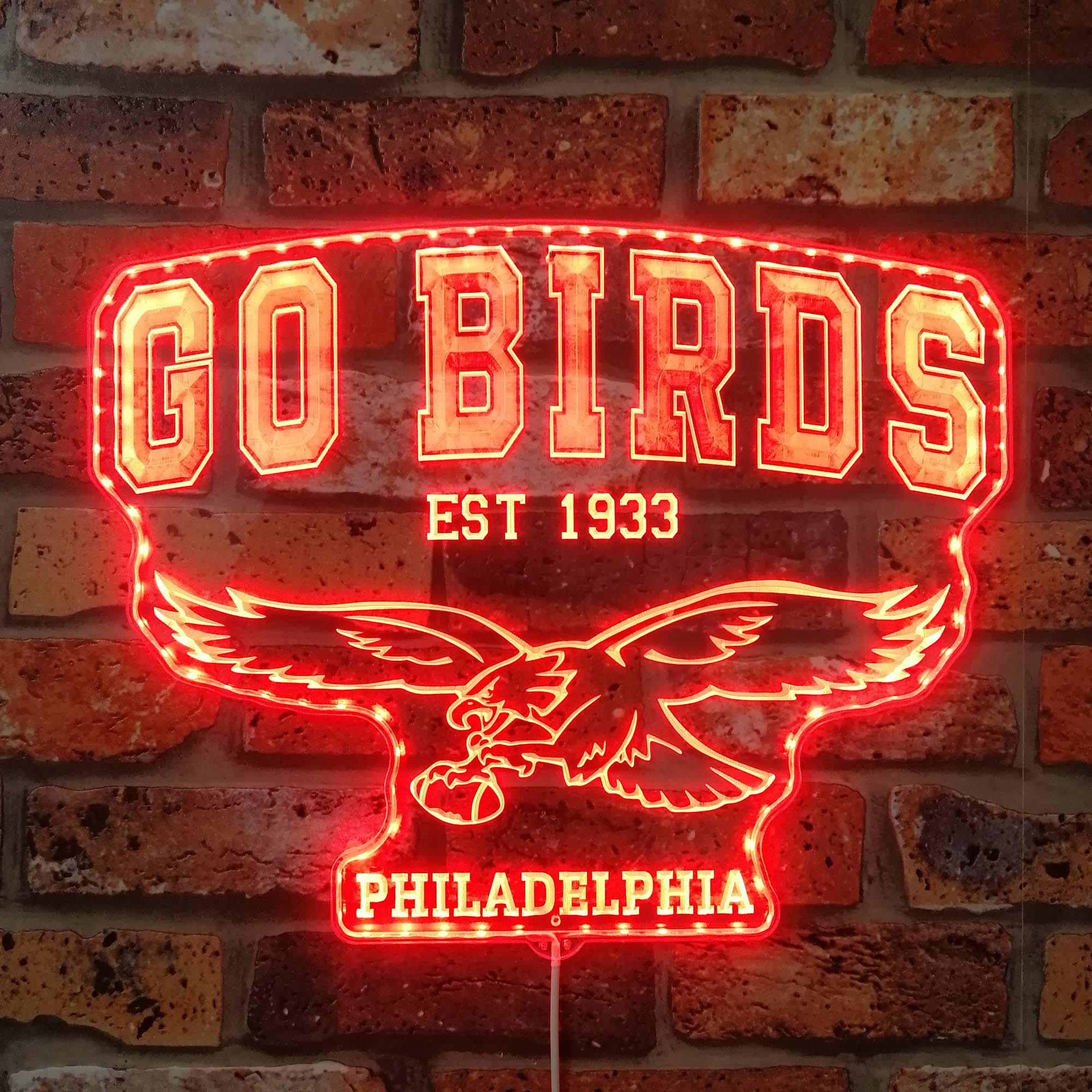 Philadelphia Eagles go birds Dynamic RGB Edge Lit LED Sign