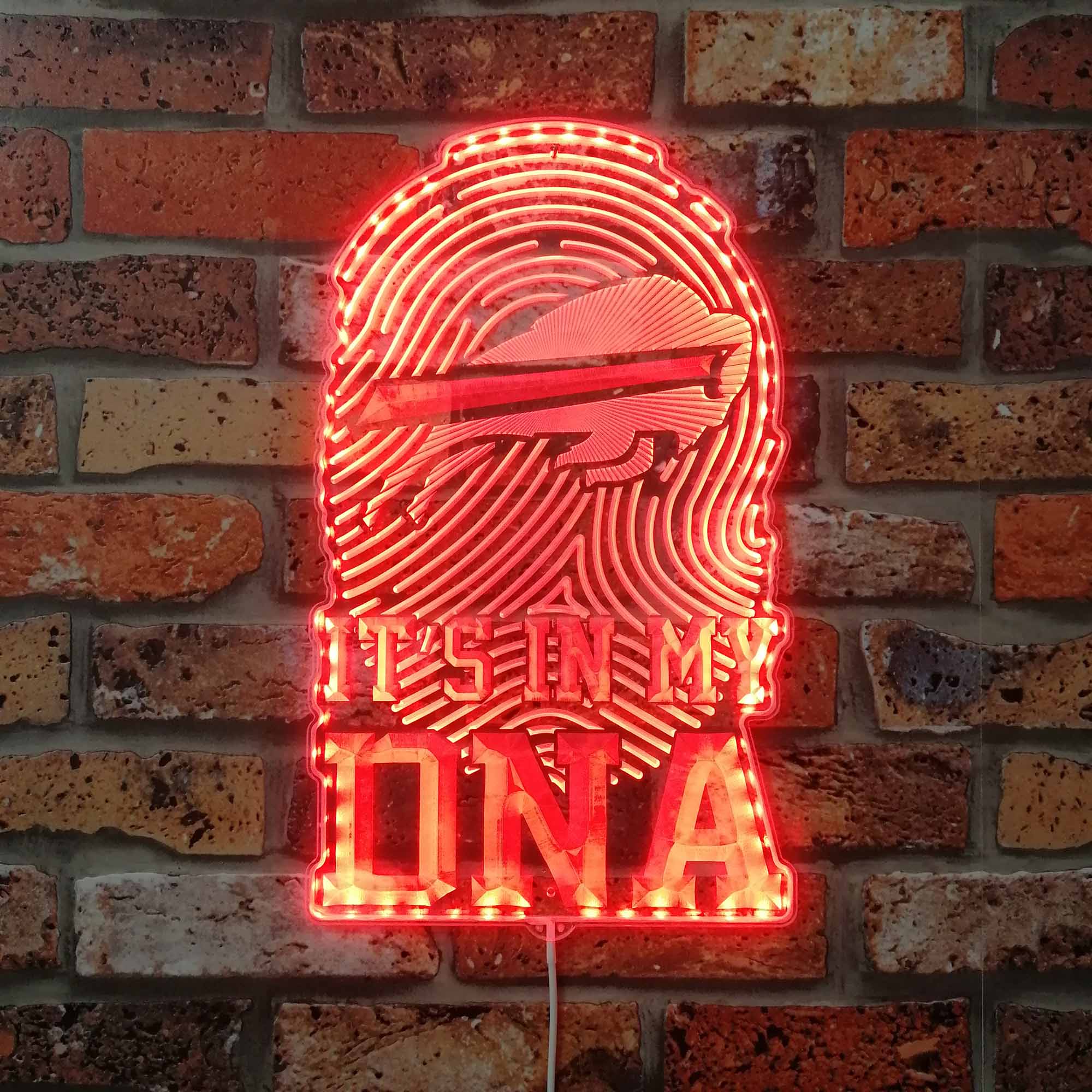 Buffalo Bills in my DNA Dynamic RGB Edge Lit LED Sign