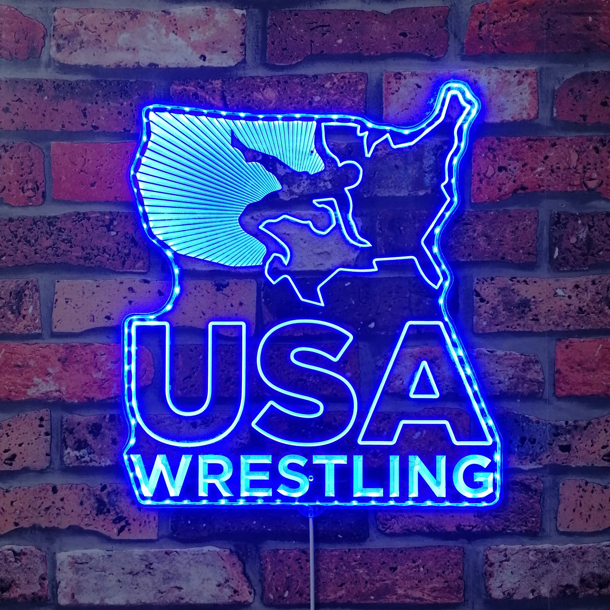 USA Wrestling Neon Dynamic RGB Edge Lit LED Sign