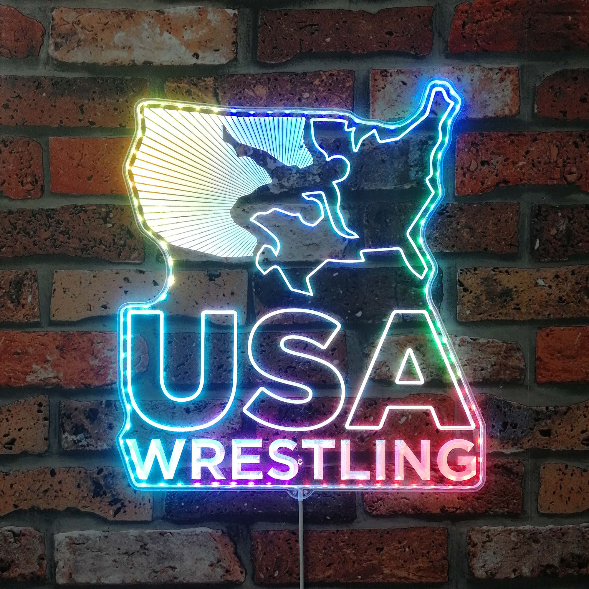 USA Wrestling Neon Dynamic RGB Edge Lit LED Sign