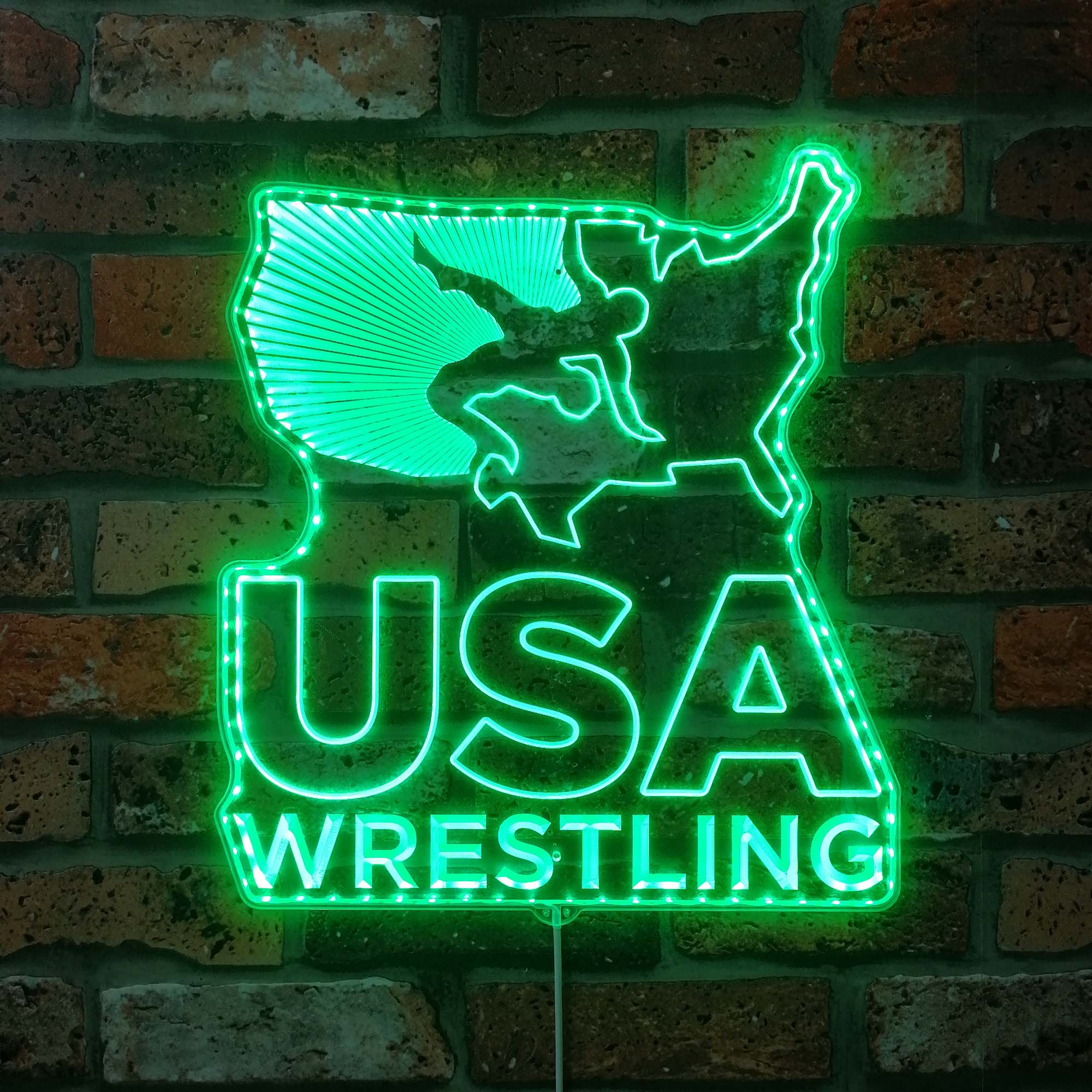 USA Wrestling Neon Dynamic RGB Edge Lit LED Sign