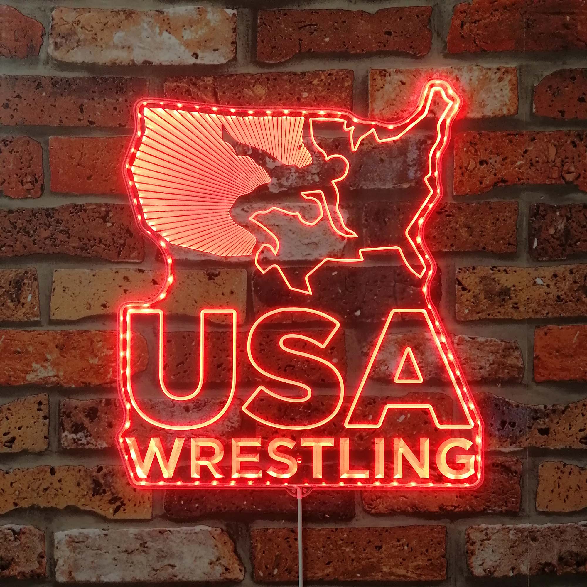 USA Wrestling Neon Dynamic RGB Edge Lit LED Sign