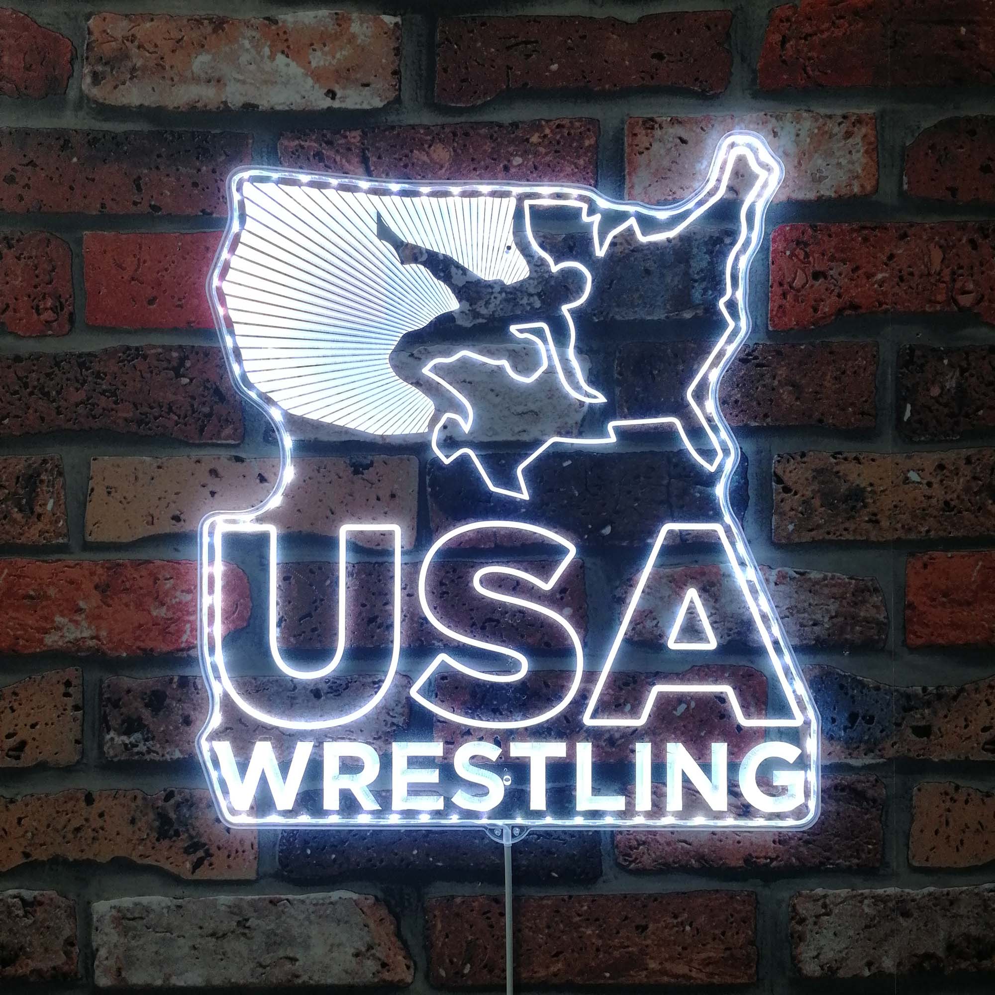 USA Wrestling Neon Dynamic RGB Edge Lit LED Sign