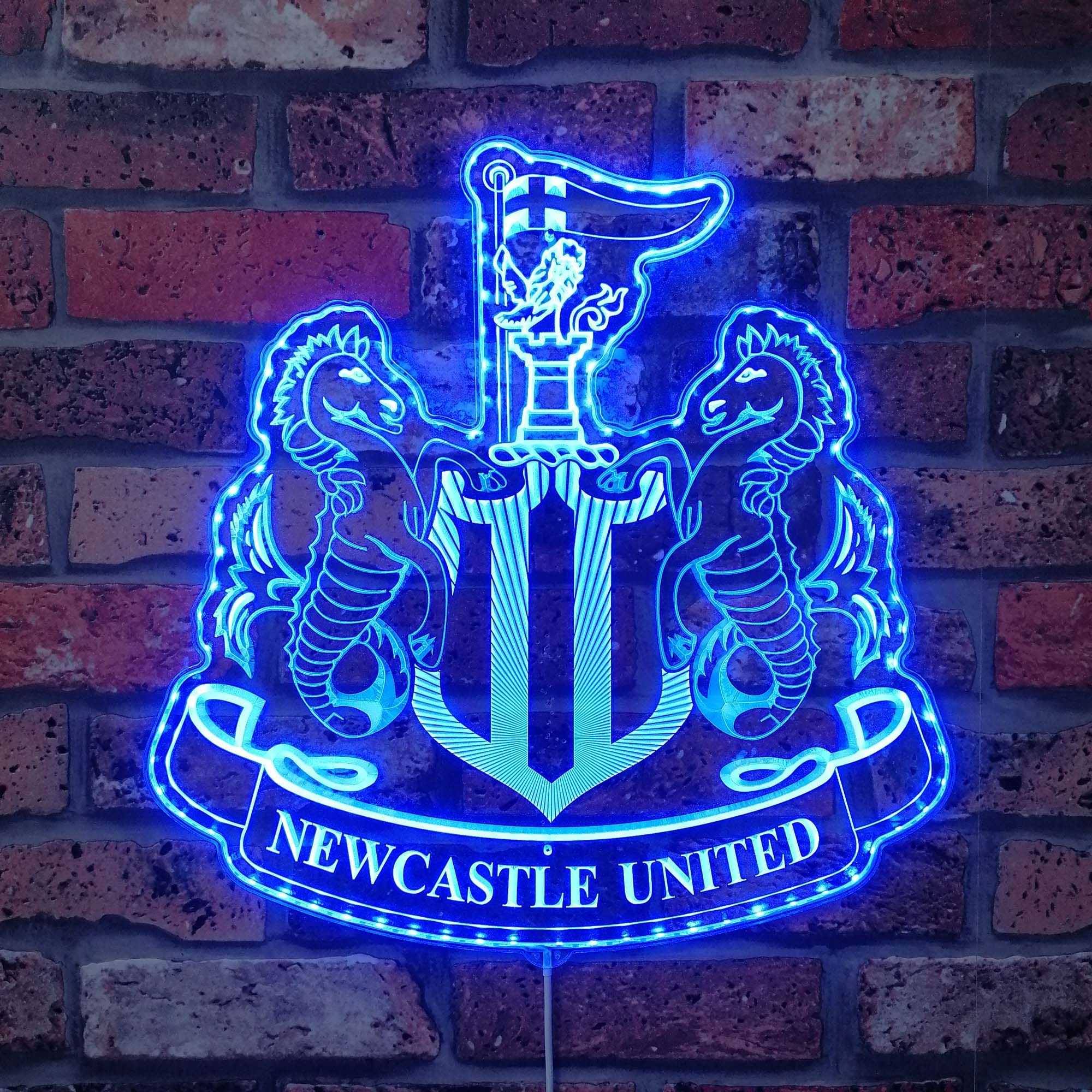 Newcastle United  Neon LED Sign with Dynamic RGB Colors