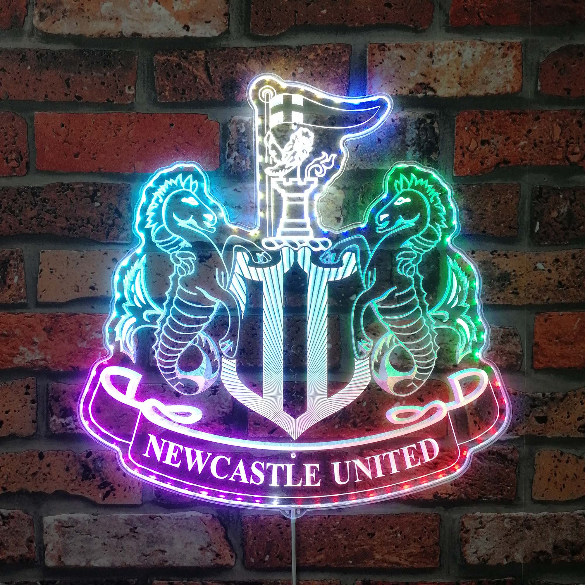Newcastle United  Neon LED Sign with Dynamic RGB Colors