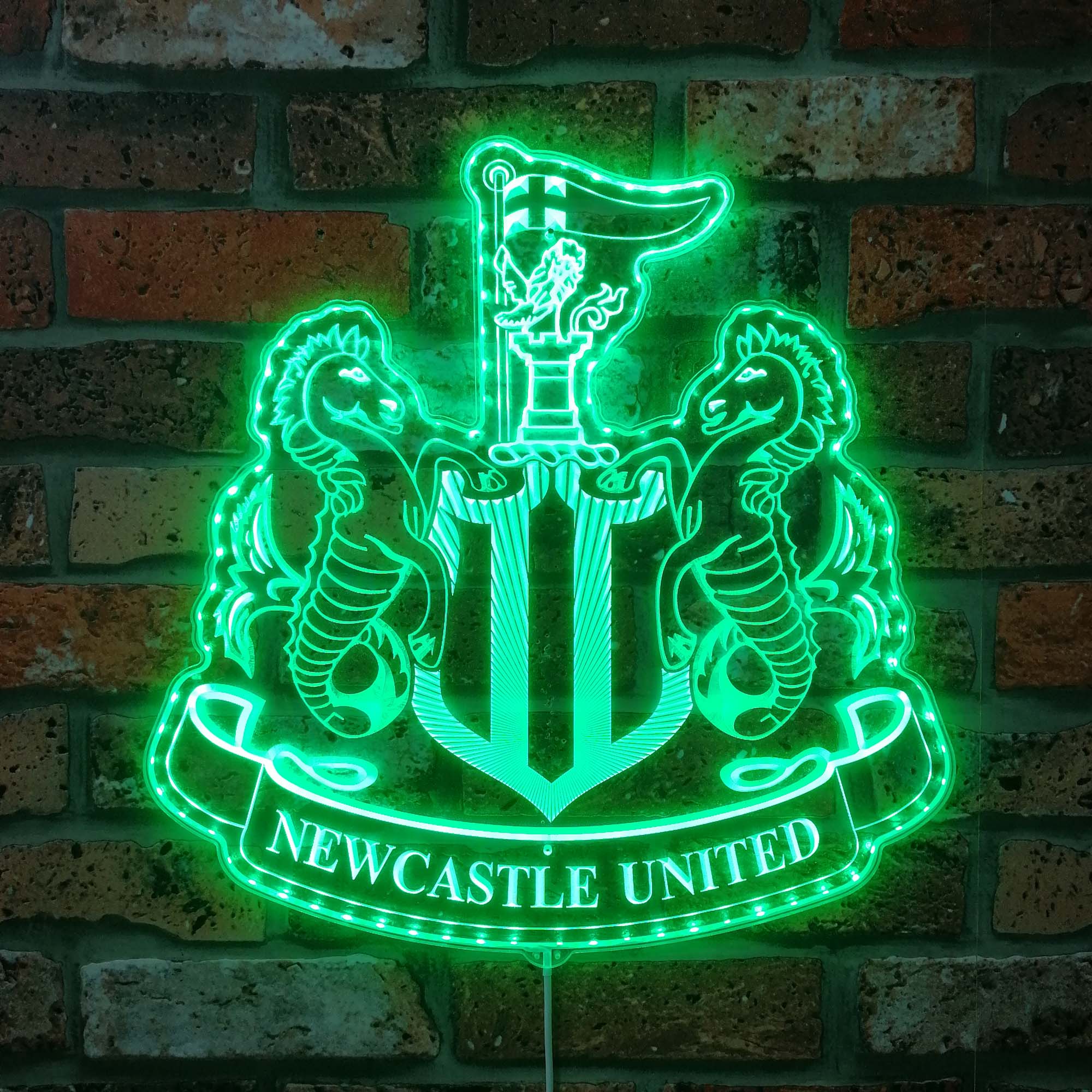 Newcastle United  Neon LED Sign with Dynamic RGB Colors