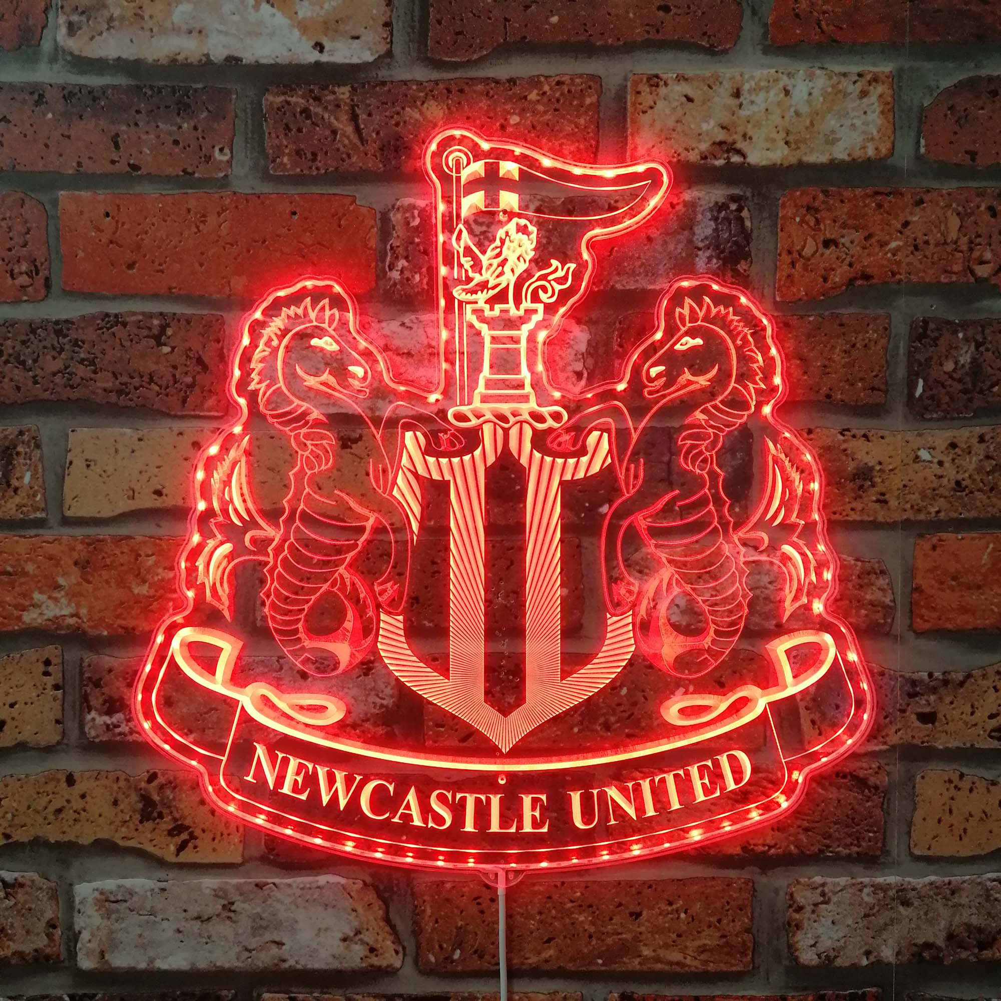 Newcastle United  Neon LED Sign with Dynamic RGB Colors