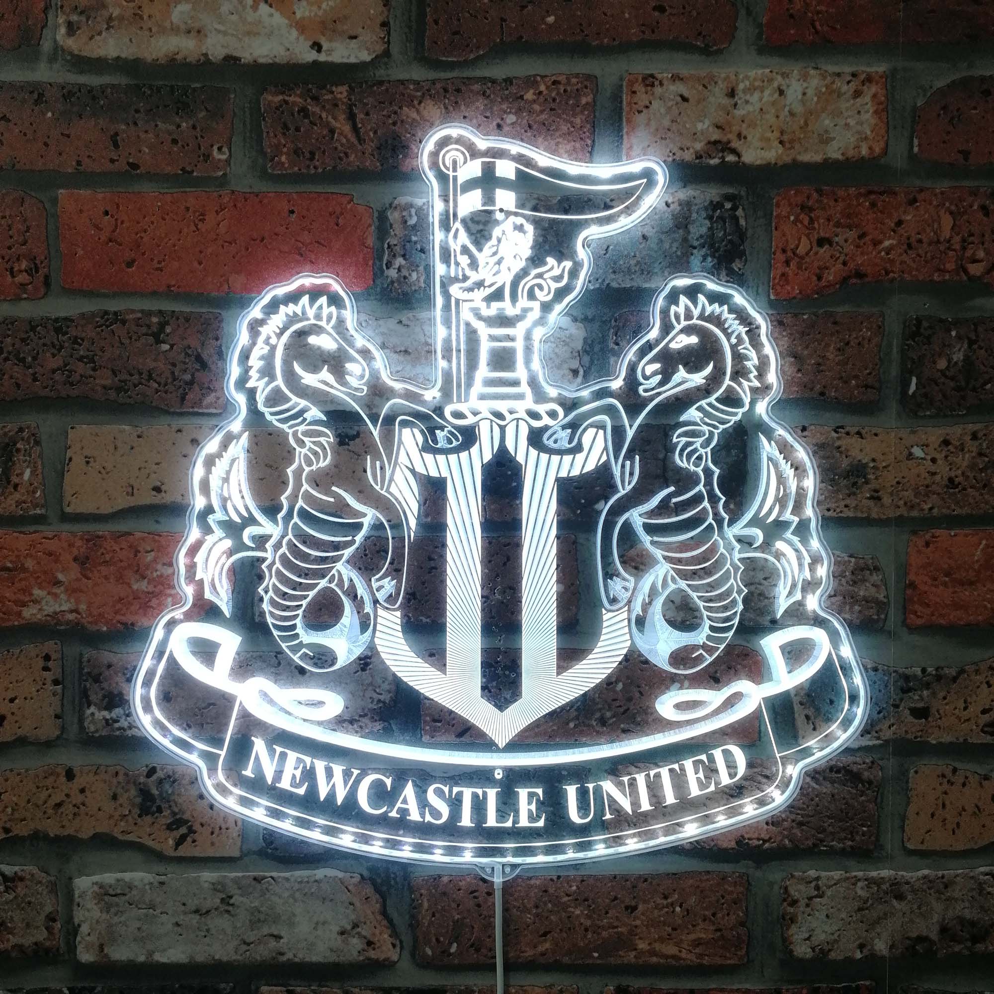 Newcastle United  Neon LED Sign with Dynamic RGB Colors